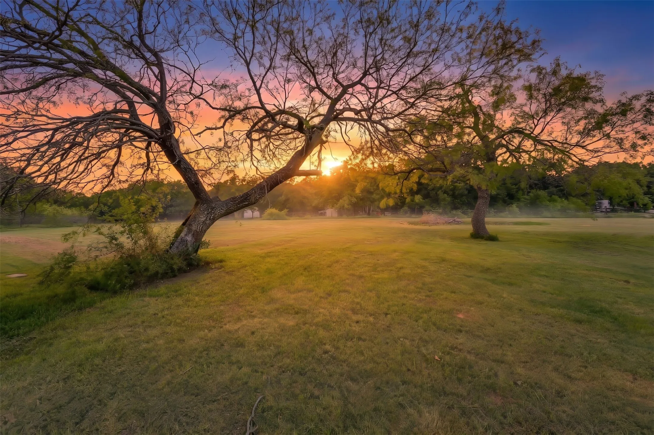Expansive grassy terrain featuring mature trees