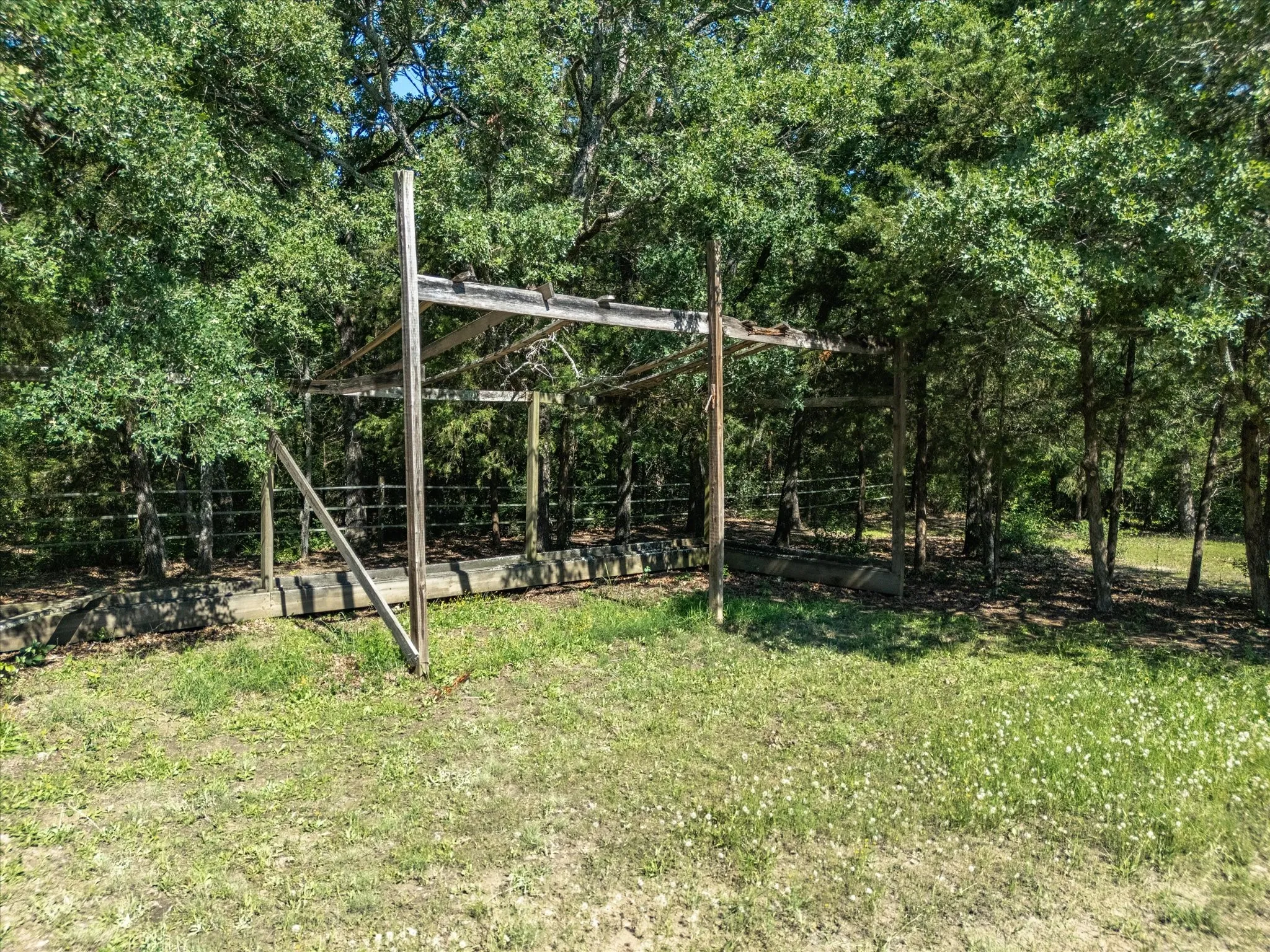Horse structure started in large fenced paddock area