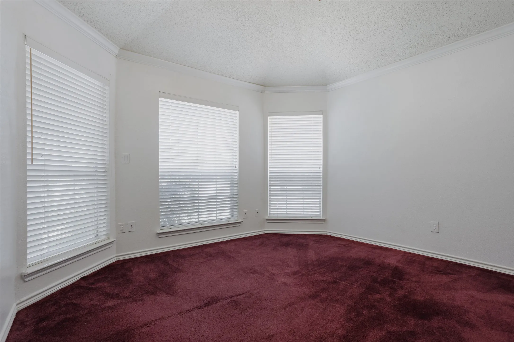 Bay window with three window units, crown molding, white window blinds, and plush burgundy carpeting