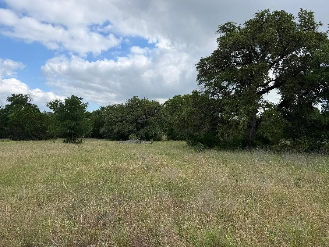 Improved Land For Sale in Bosque County , 387 W CR 1627 Avenue, Meridian, Texas 76634, 0, 0, Garage spaces, 0 Sqft, built in 0, mls#21266959, Real Estate Agent in Meridian, Homes For Sale in Bosque county, Homes For Sale in Meridian, Realtor in Meridian Texas, Real Estate Brokerage Independent Realty Texas, Luminita Cordes Realtor