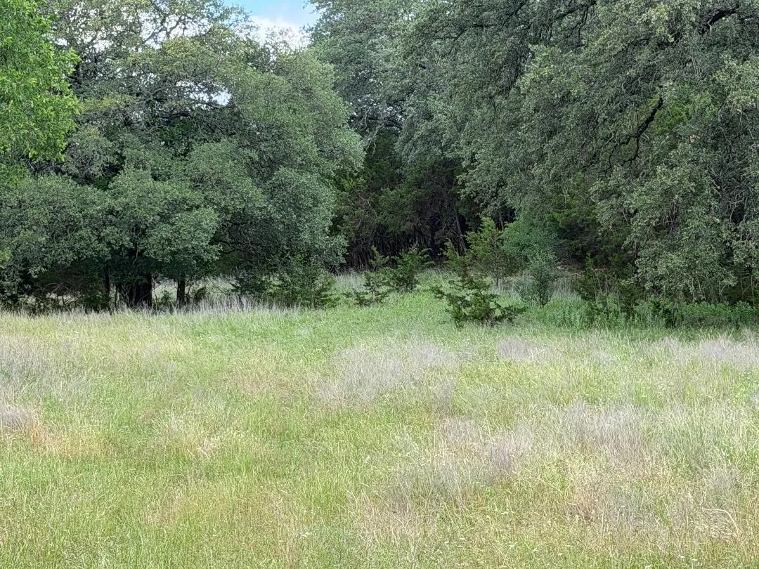 Improved Land For Sale in Bosque County , 387 W CR 1627 Avenue, Meridian, Texas 76634, 0, 0, Garage spaces, 0 Sqft, built in 0, mls#21266959, Real Estate Agent in Meridian, Homes For Sale in Bosque county, Homes For Sale in Meridian, Realtor in Meridian Texas, Real Estate Brokerage Independent Realty Texas, Luminita Cordes Realtor