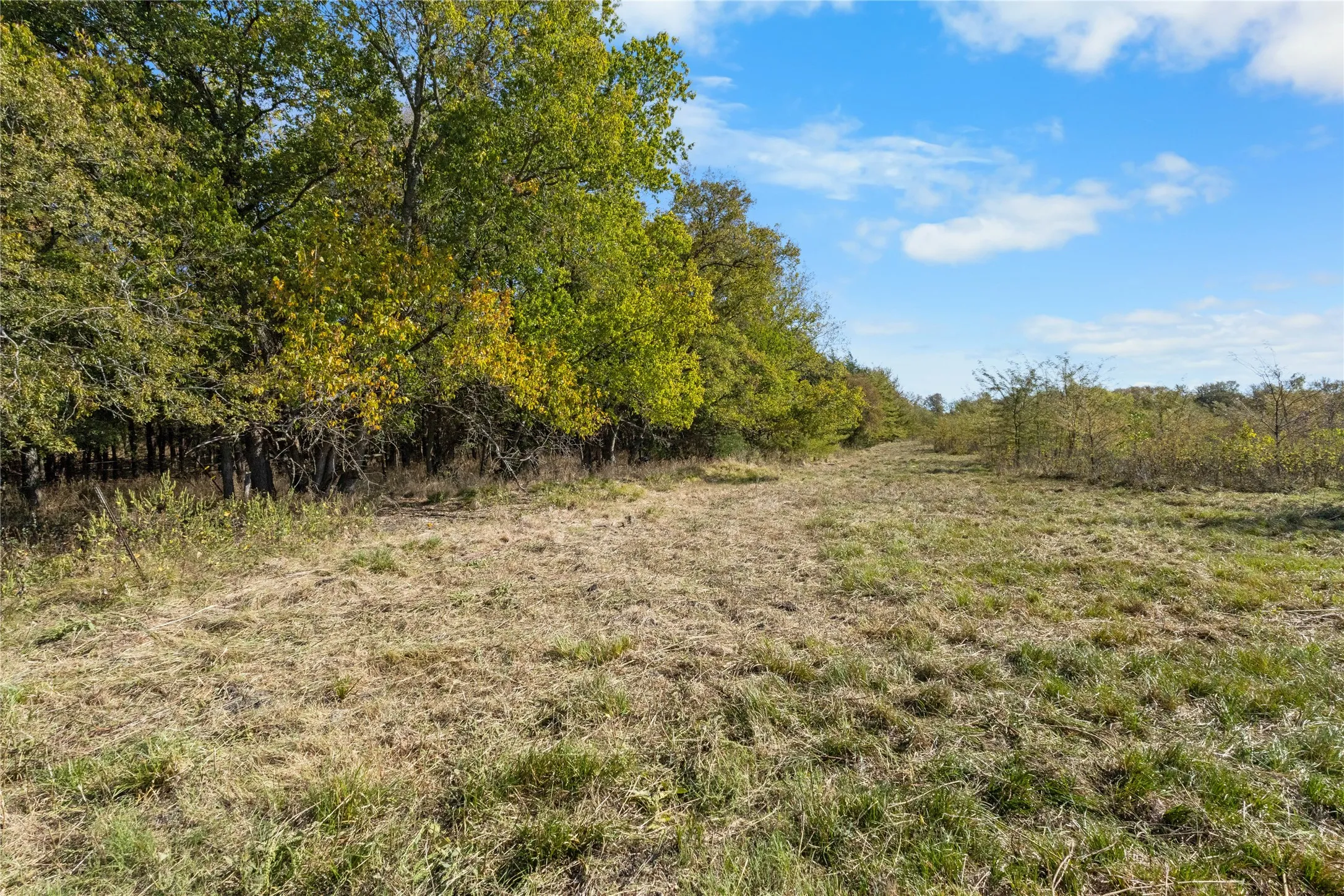 Unimproved Land For Sale in Delta County , TBD Fm 1528, Cooper, Texas 75432, 0, 0, Garage spaces, 0 Sqft, built in 0, Price $500,000, mls#21264804, Real Estate Agent in Cooper, Homes For Sale in Delta county, Homes For Sale in Cooper, Realtor in Cooper Texas, Real Estate Brokerage Independent Realty Texas, Luminita Cordes Realtor