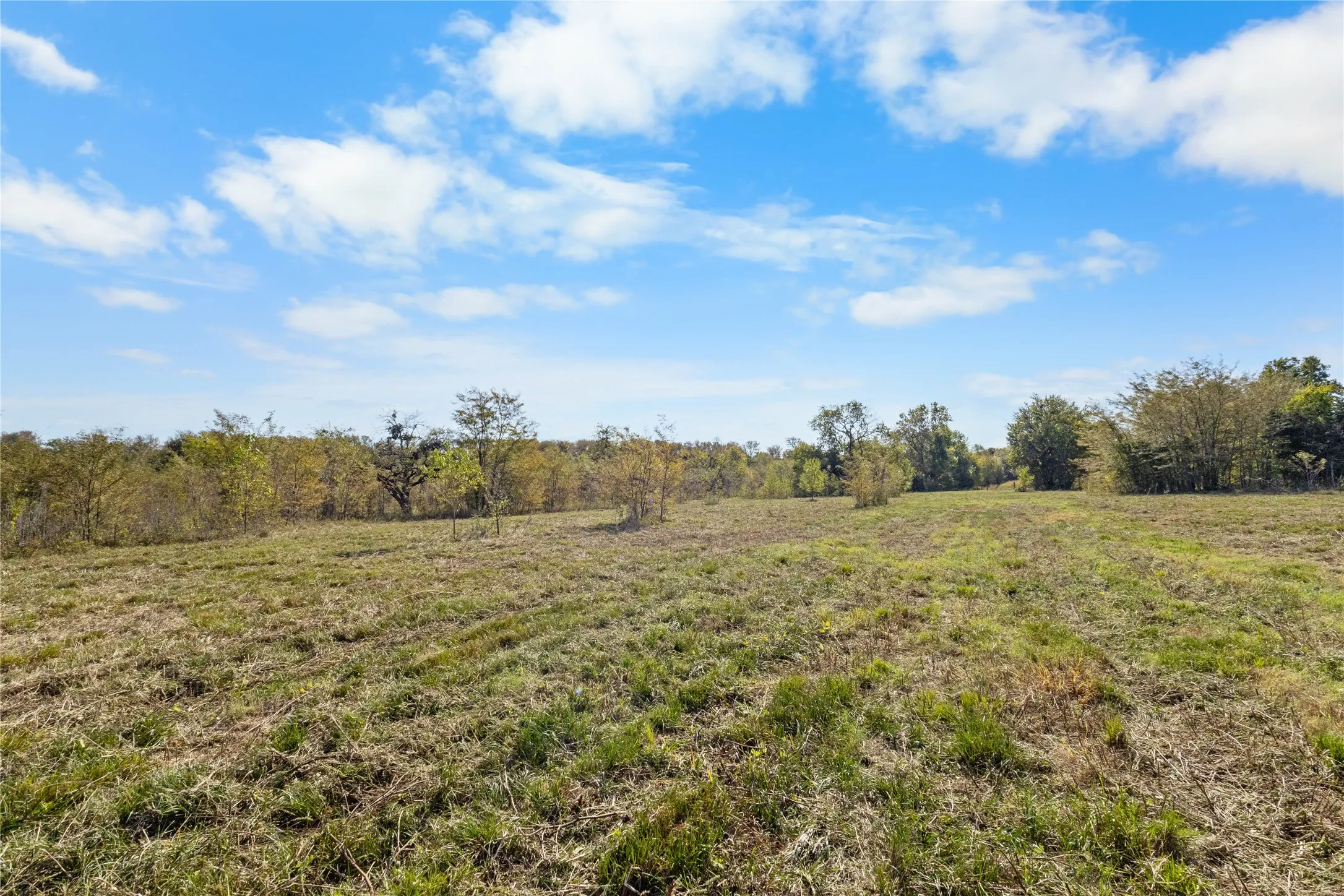 Unimproved Land For Sale in Delta County , TBD Fm 1528, Cooper, Texas 75432, 0, 0, Garage spaces, 0 Sqft, built in 0, Price $500,000, mls#21264804, Real Estate Agent in Cooper, Homes For Sale in Delta county, Homes For Sale in Cooper, Realtor in Cooper Texas, Real Estate Brokerage Independent Realty Texas, Luminita Cordes Realtor