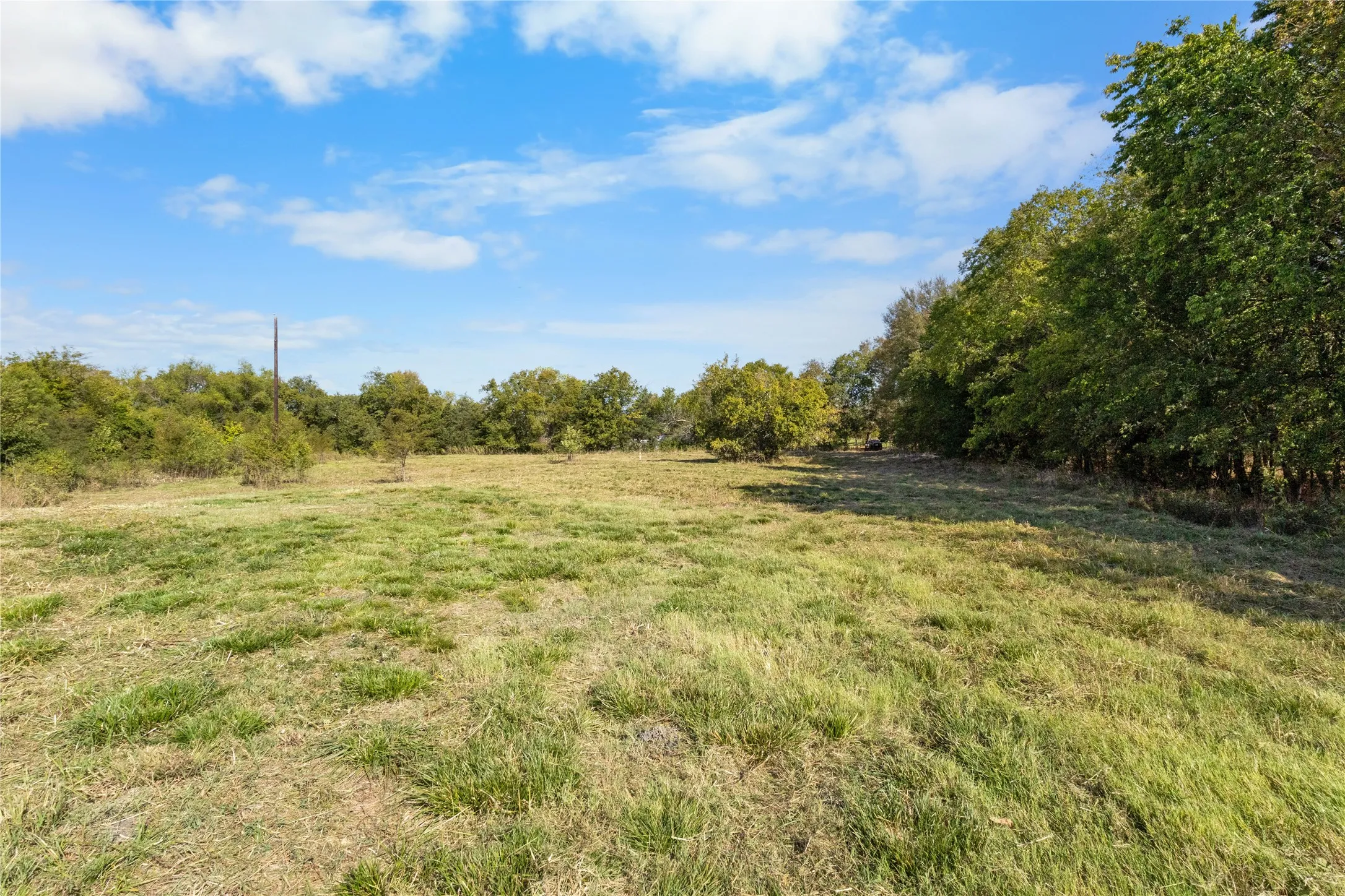 Unimproved Land For Sale in Delta County , TBD Fm 1528, Cooper, Texas 75432, 0, 0, Garage spaces, 0 Sqft, built in 0, Price $500,000, mls#21264804, Real Estate Agent in Cooper, Homes For Sale in Delta county, Homes For Sale in Cooper, Realtor in Cooper Texas, Real Estate Brokerage Independent Realty Texas, Luminita Cordes Realtor