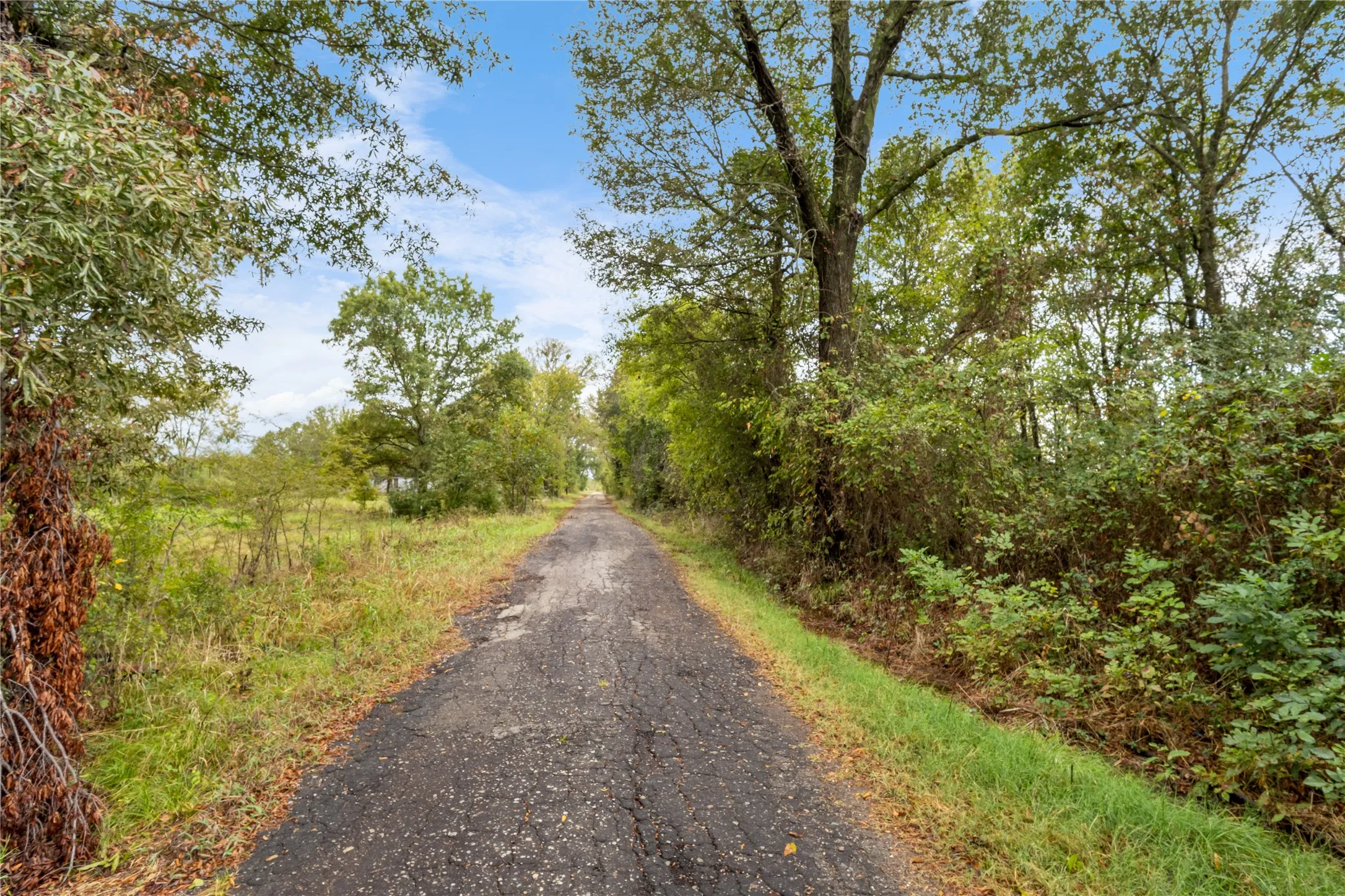Unimproved Land For Sale in Delta County , TBD Fm 1528, Cooper, Texas 75432, 0, 0, Garage spaces, 0 Sqft, built in 0, Price $500,000, mls#21264804, Real Estate Agent in Cooper, Homes For Sale in Delta county, Homes For Sale in Cooper, Realtor in Cooper Texas, Real Estate Brokerage Independent Realty Texas, Luminita Cordes Realtor