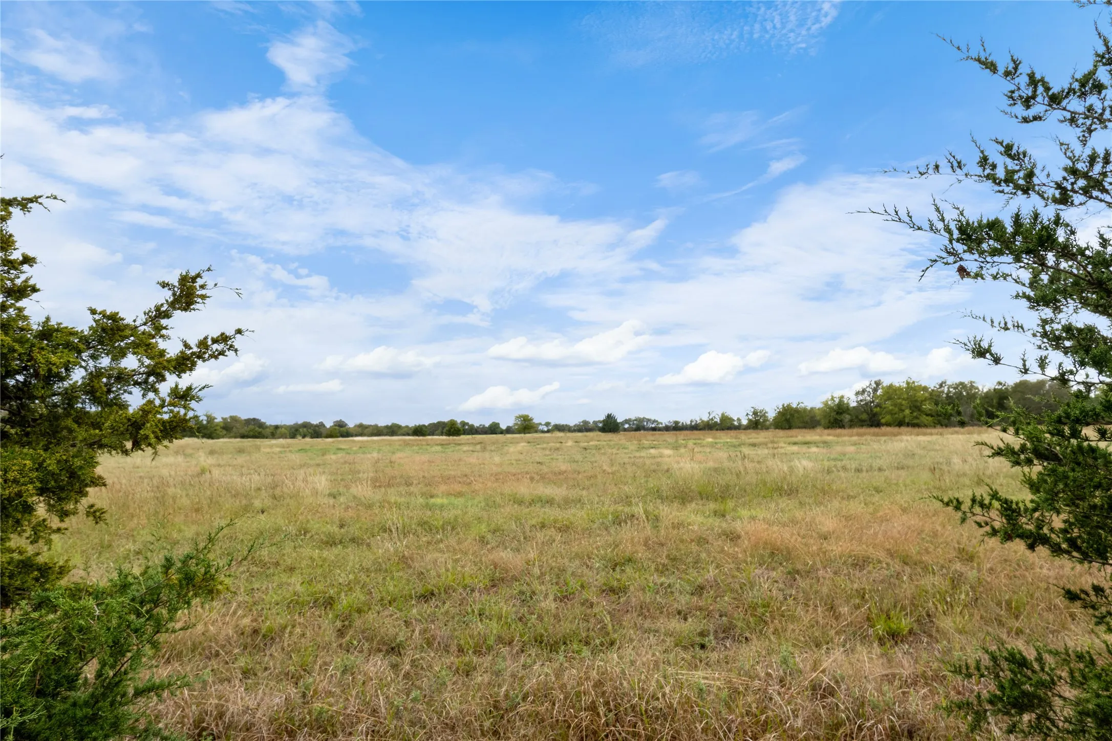 Unimproved Land For Sale in Delta County , TBD Fm 1528, Cooper, Texas 75432, 0, 0, Garage spaces, 0 Sqft, built in 0, Price $500,000, mls#21264804, Real Estate Agent in Cooper, Homes For Sale in Delta county, Homes For Sale in Cooper, Realtor in Cooper Texas, Real Estate Brokerage Independent Realty Texas, Luminita Cordes Realtor