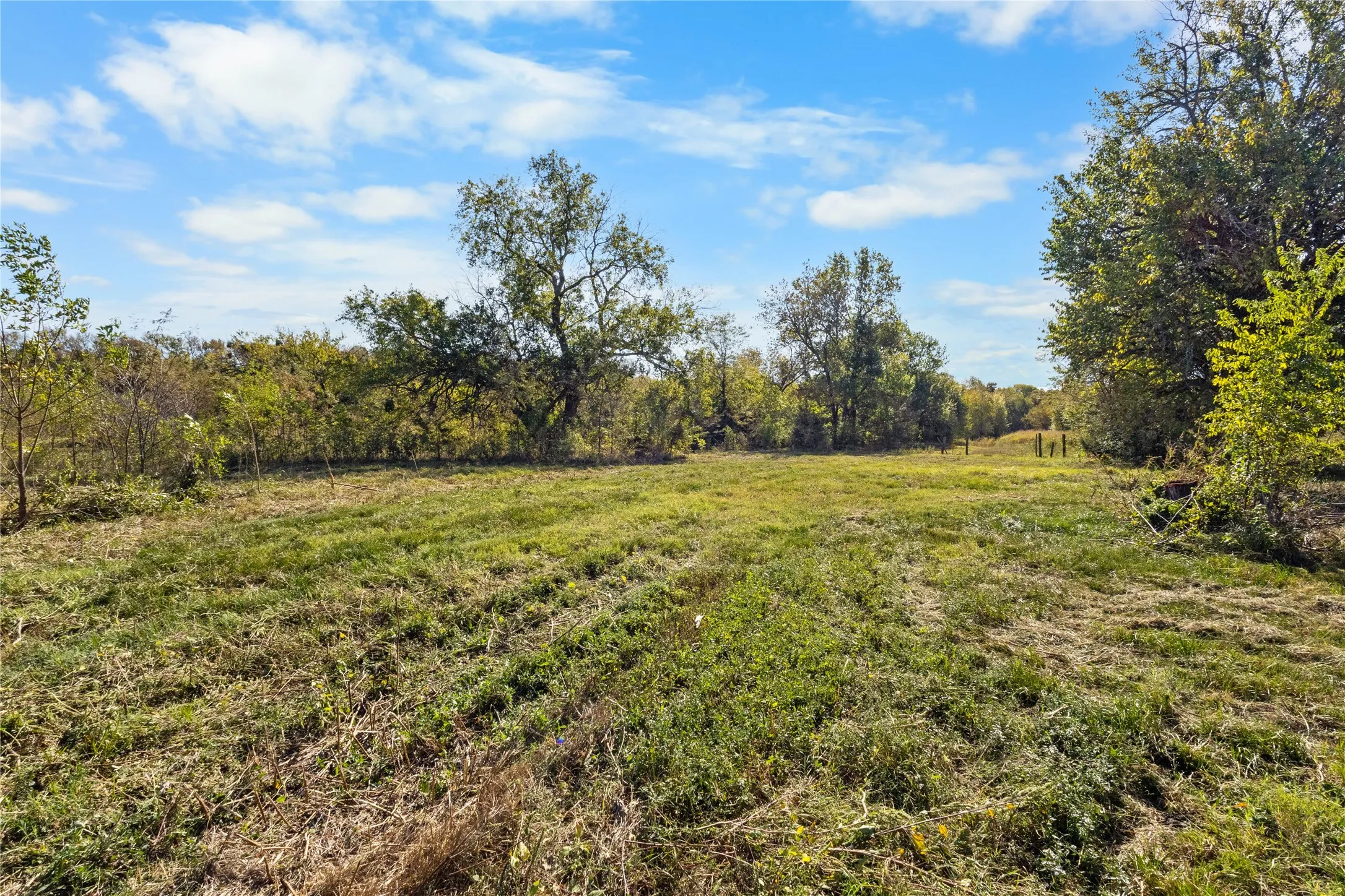 Unimproved Land For Sale in Delta County , TBD Fm 1528, Cooper, Texas 75432, 0, 0, Garage spaces, 0 Sqft, built in 0, Price $500,000, mls#21264804, Real Estate Agent in Cooper, Homes For Sale in Delta county, Homes For Sale in Cooper, Realtor in Cooper Texas, Real Estate Brokerage Independent Realty Texas, Luminita Cordes Realtor