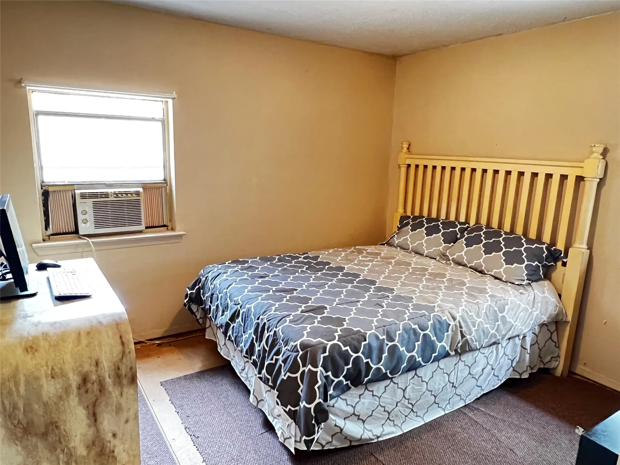 Back Bedroom featuring neutral wall paint, two windows, and a ceiling-mounted light fixture