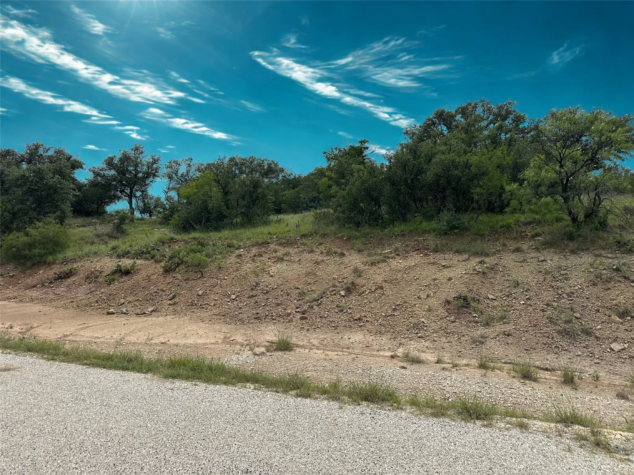 Natural landscape featuring a gradual incline, diverse tree coverage, and low-lying vegetation