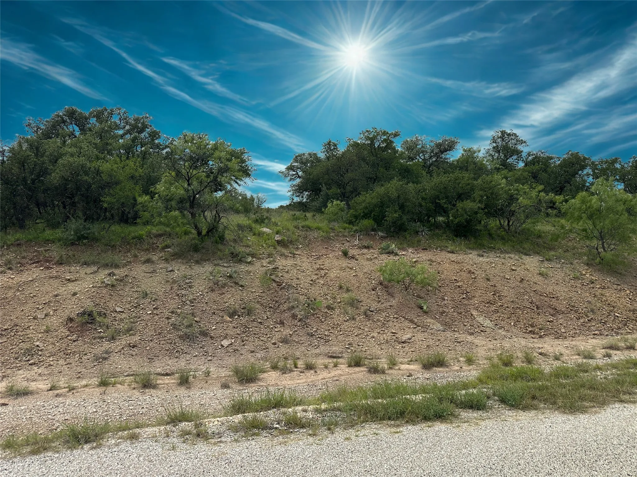 Natural landscape featuring varied topography with mature trees and native vegetation under a bright sky