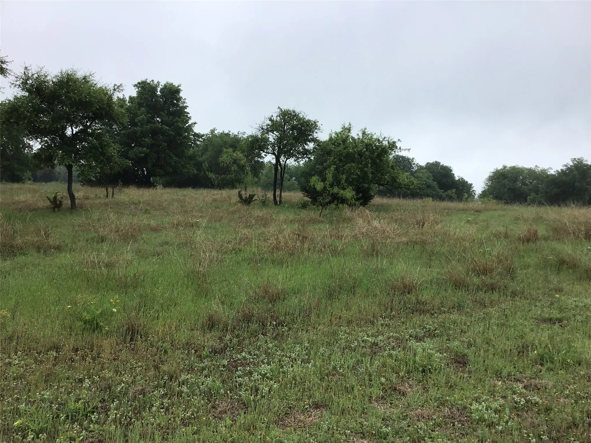 Unimproved Land For Sale in Hill County , 42122 Crooked Stick Drive, Whitney, Texas 76692, 0, 0, Garage spaces, 0 Sqft, built in 0, Price $14,900, mls#21267262, Real Estate Agent in Whitney, Homes For Sale in Hill county, Homes For Sale in Whitney, Realtor in Whitney Texas, Real Estate Brokerage Independent Realty Texas, Luminita Cordes Realtor