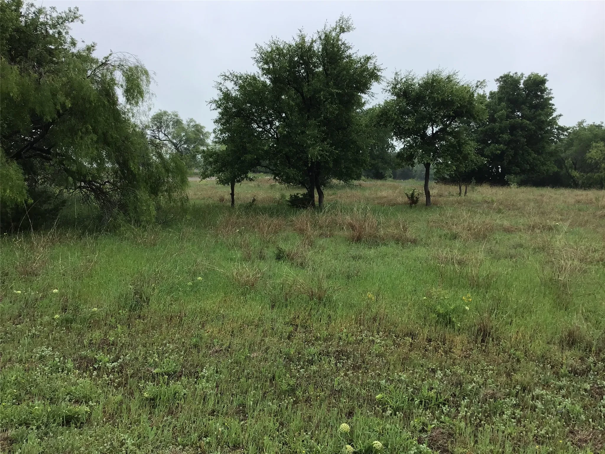 Unimproved Land For Sale in Hill County , 42122 Crooked Stick Drive, Whitney, Texas 76692, 0, 0, Garage spaces, 0 Sqft, built in 0, Price $14,900, mls#21267262, Real Estate Agent in Whitney, Homes For Sale in Hill county, Homes For Sale in Whitney, Realtor in Whitney Texas, Real Estate Brokerage Independent Realty Texas, Luminita Cordes Realtor