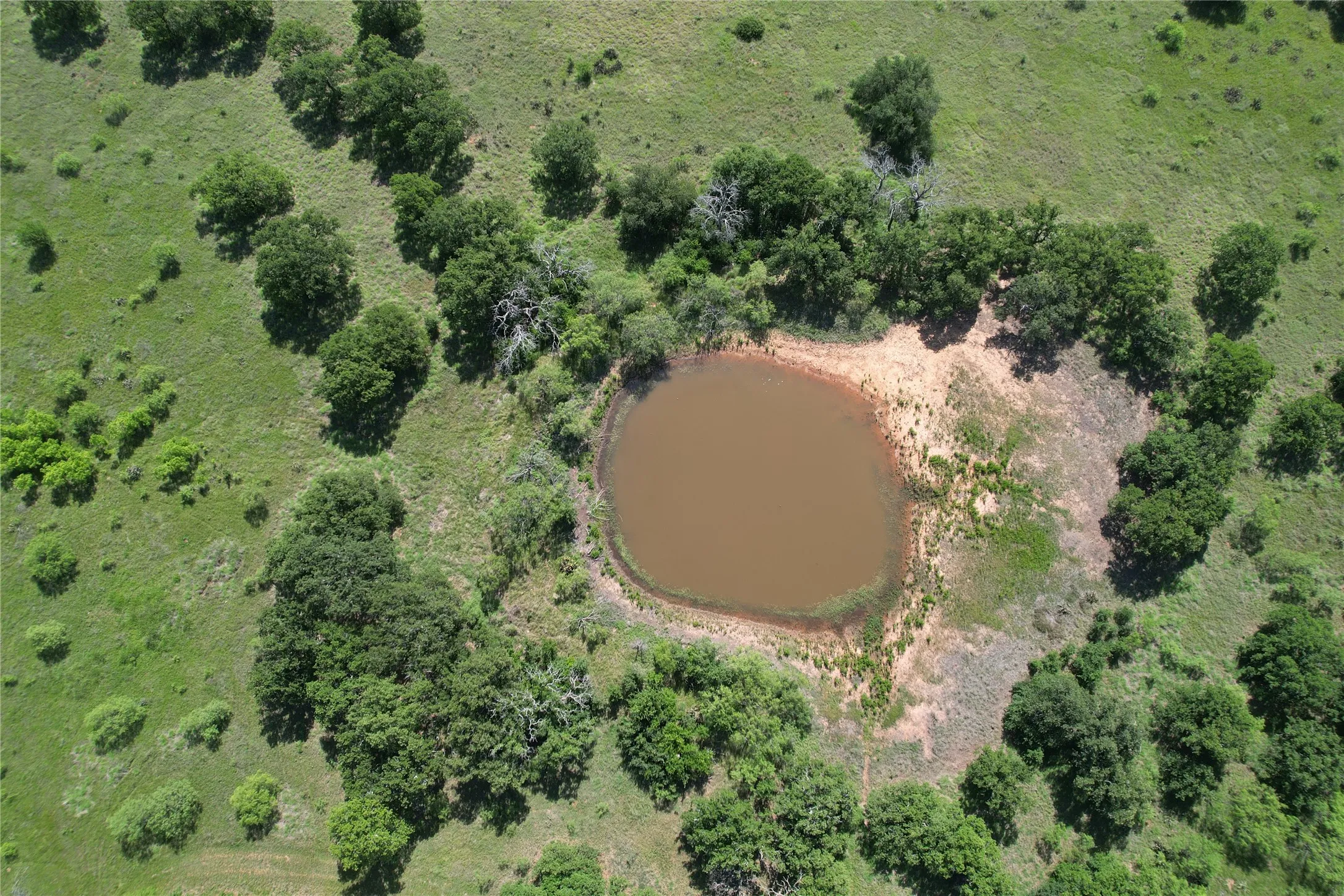 Improved Land For Sale in Young County , 628 Robinson Road, Graham, Texas 76450, 0, 0, Garage spaces, 0 Sqft, built in 1999, Price $2,000,000, mls#21252535, Real Estate Agent in Graham, Homes For Sale in Young county, Homes For Sale in Graham, Realtor in Graham Texas, Real Estate Brokerage Independent Realty Texas, Luminita Cordes Realtor