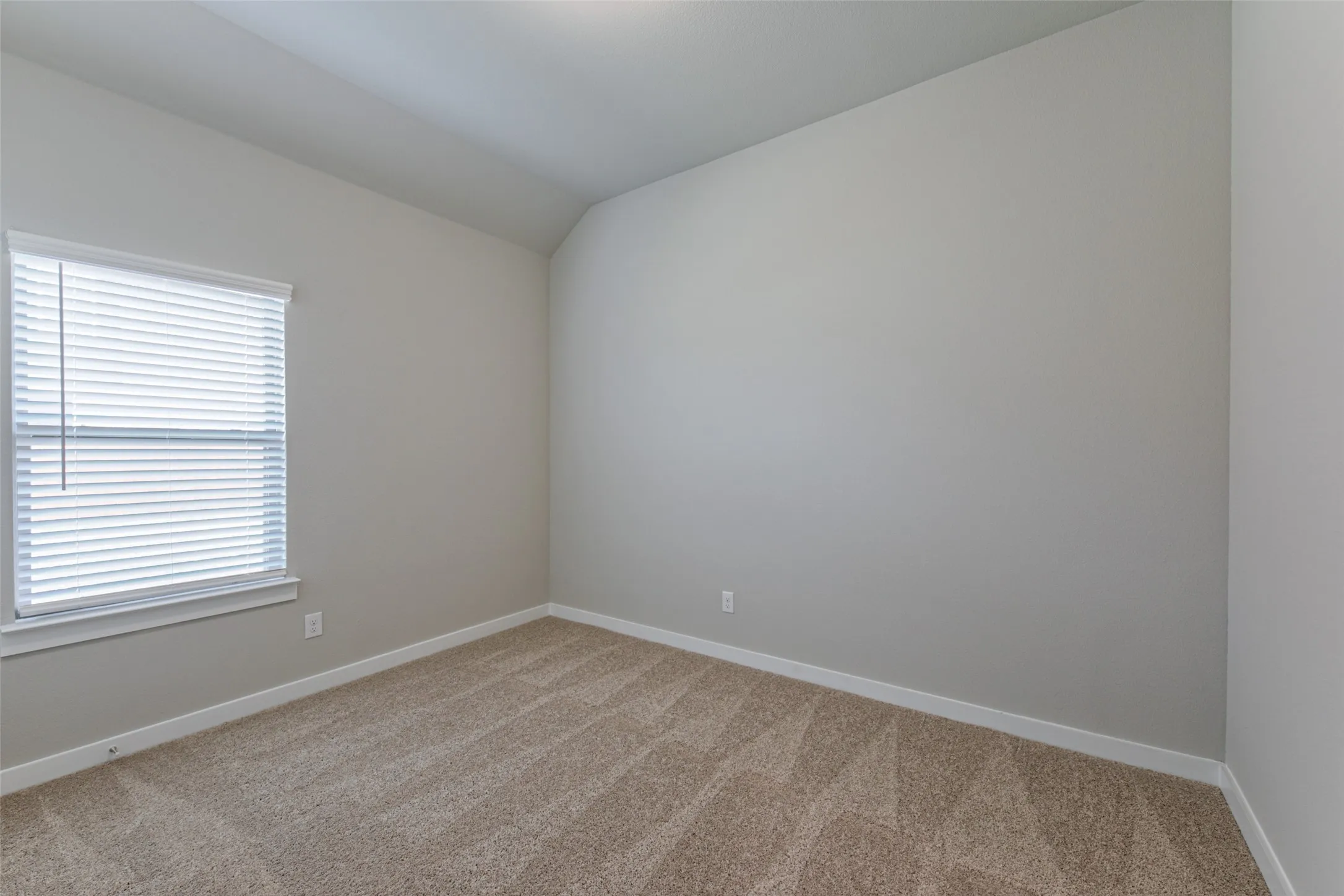 Neutral tone wall paint with white trim, textured carpeting, and a window with white blinds
