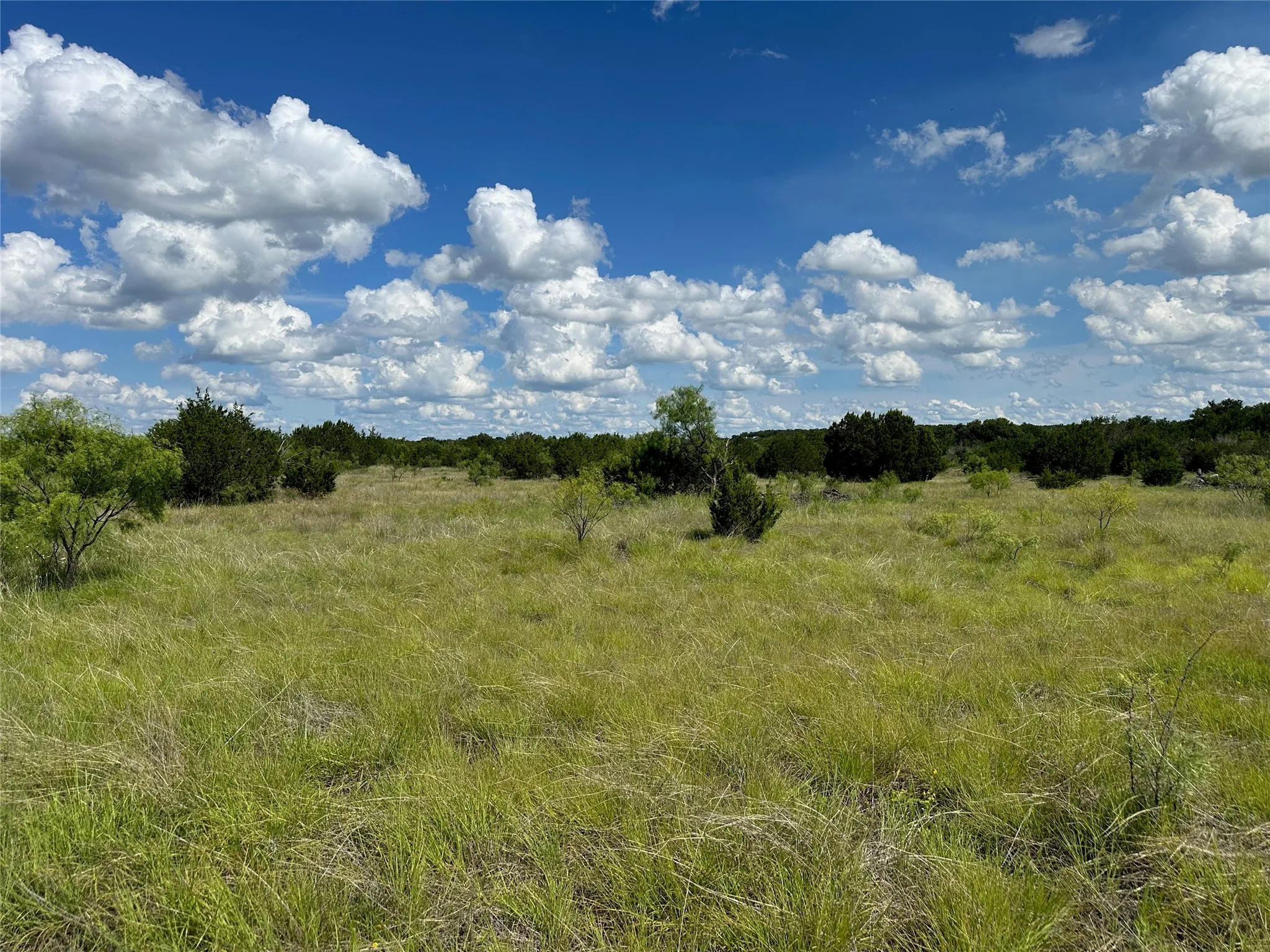 Expansive open land with natural green and golden grasses, dotted with scattered mature trees and brush