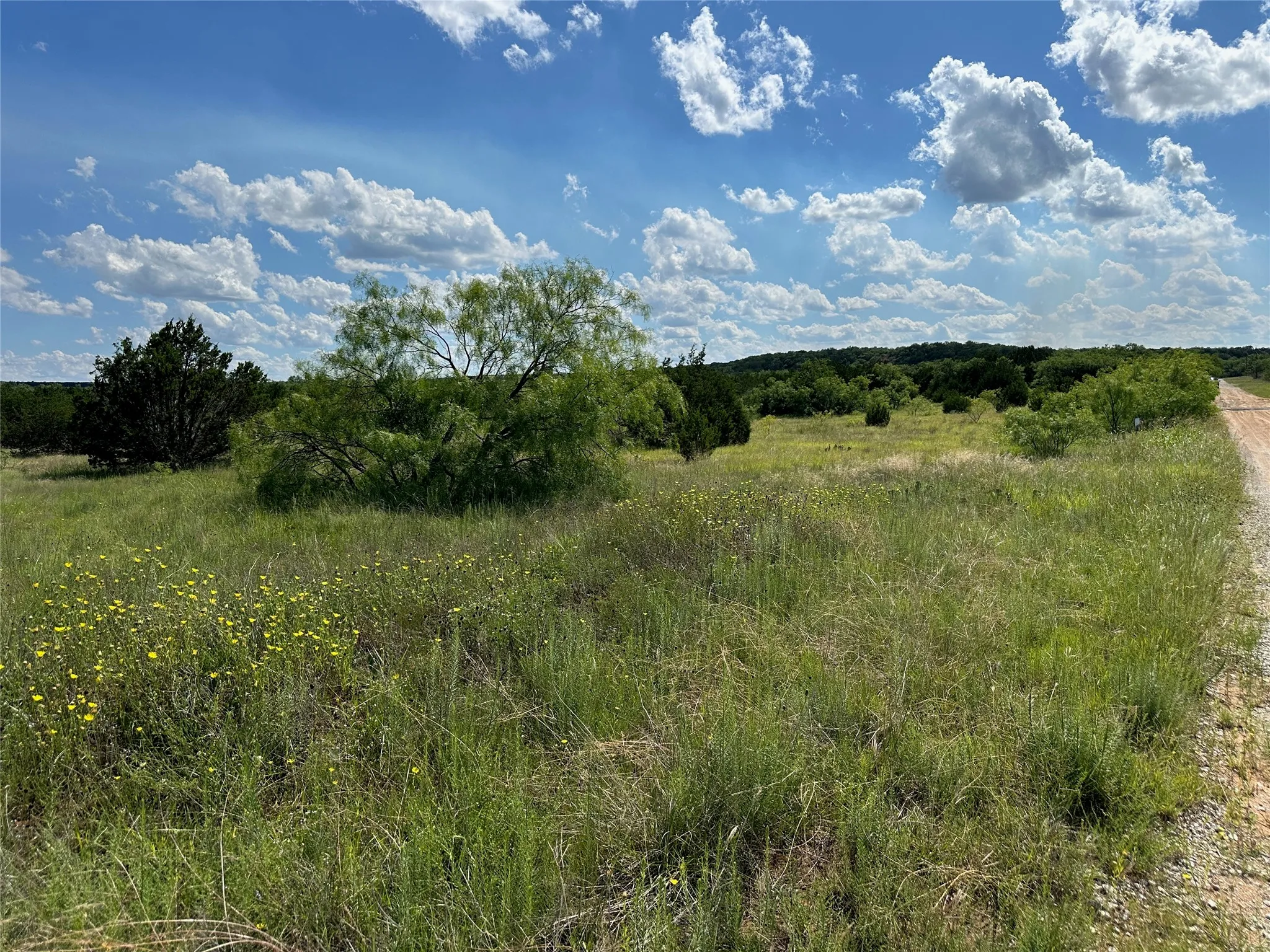 Expansive undeveloped land featuring natural vegetation, scattered trees, and a visible dirt road