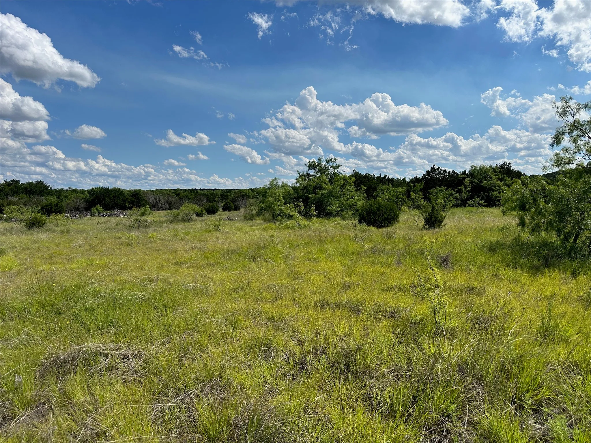 Expansive undeveloped land featuring natural terrain with varied green foliage and mature tree lines on the horizon