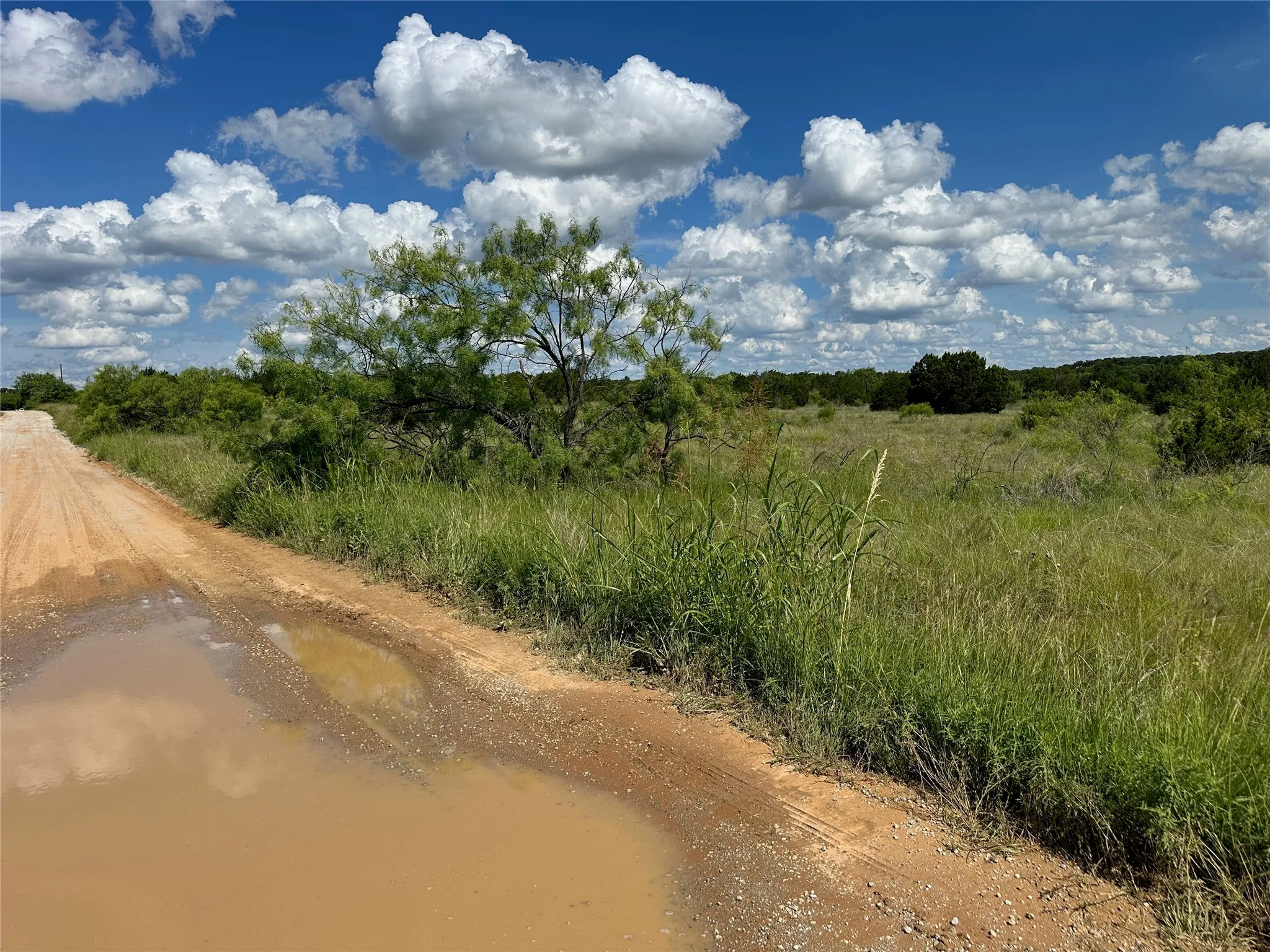 Expansive undeveloped land featuring a dirt road, natural vegetation, and mature trees