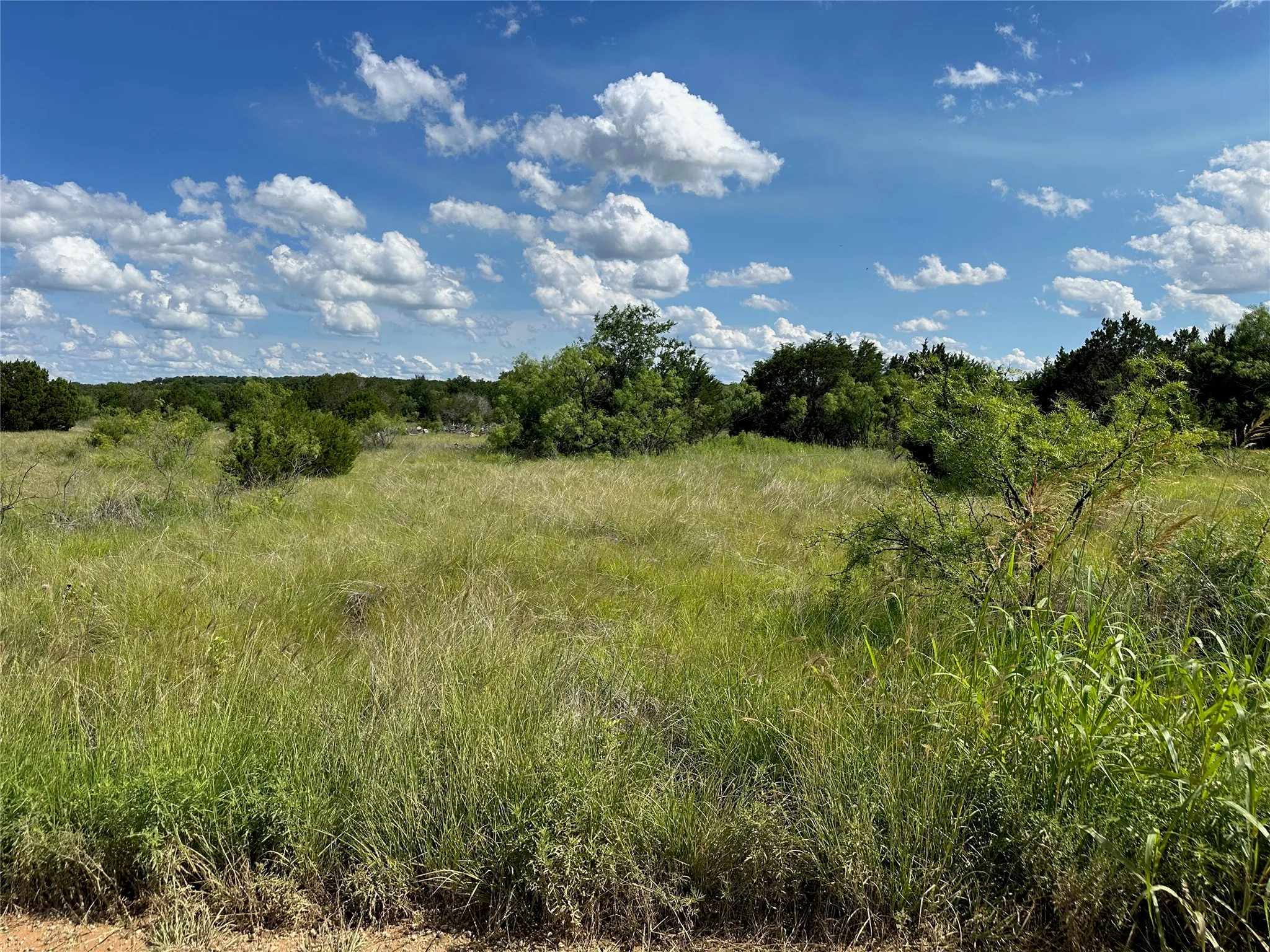 Expansive undeveloped land featuring diverse natural vegetation and a clear blue sky