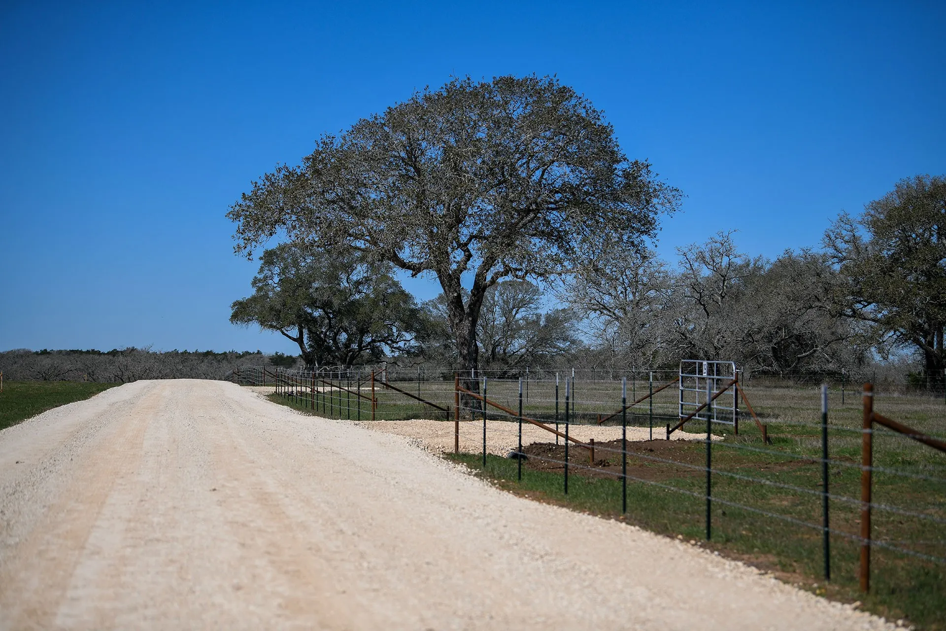 Unimproved Land For Sale in Gonzales County , 638 Main Loop Loop, Waelder, Texas 78959, 0, 0, Garage spaces, 0 Sqft, built in 0, Price $75,000, mls#21267369, Real Estate Agent in Waelder, Homes For Sale in Gonzales county, Homes For Sale in Waelder, Realtor in Waelder Texas, Real Estate Brokerage Independent Realty Texas, Luminita Cordes Realtor