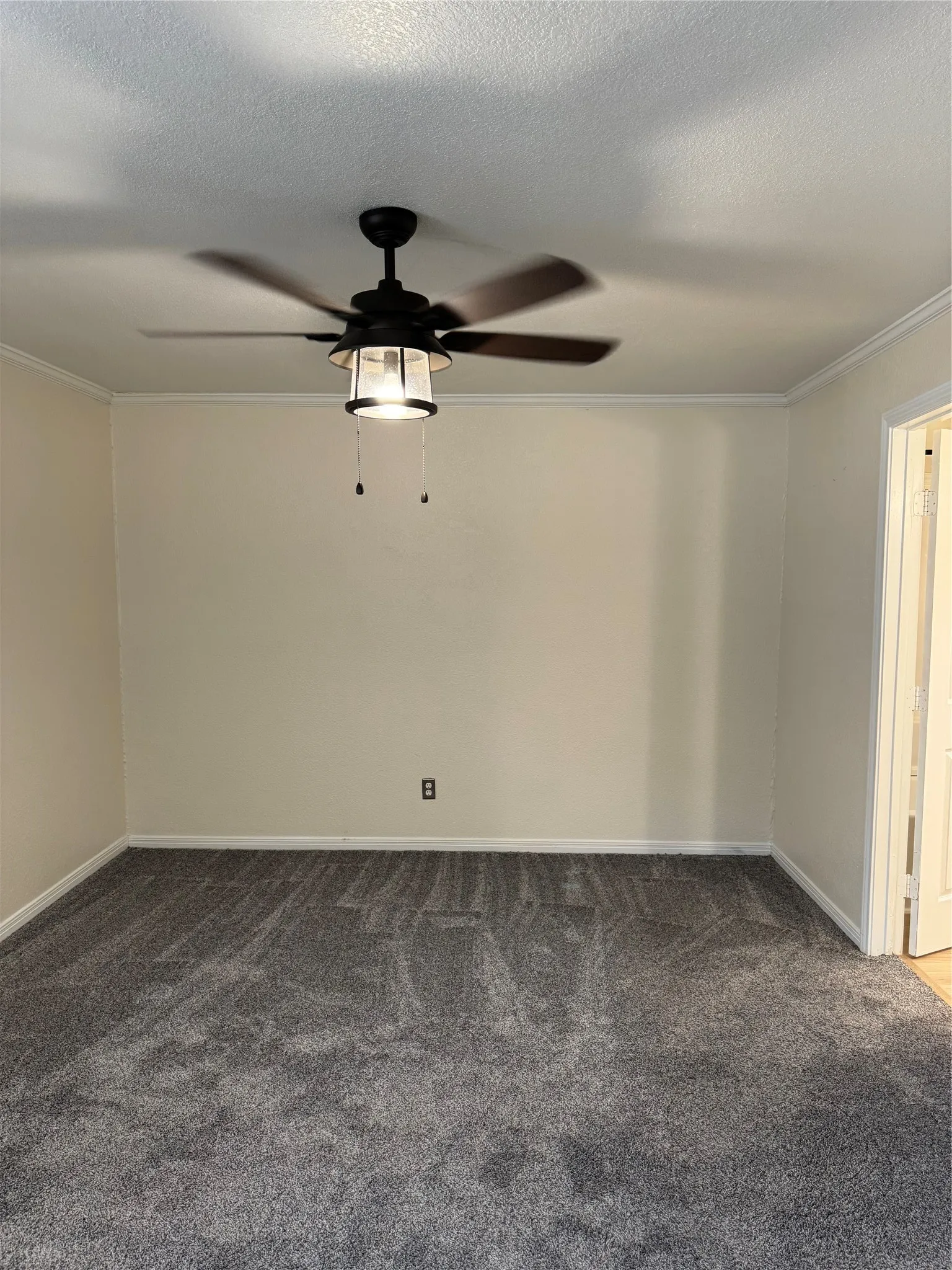 Neutral wall finishes with crown molding