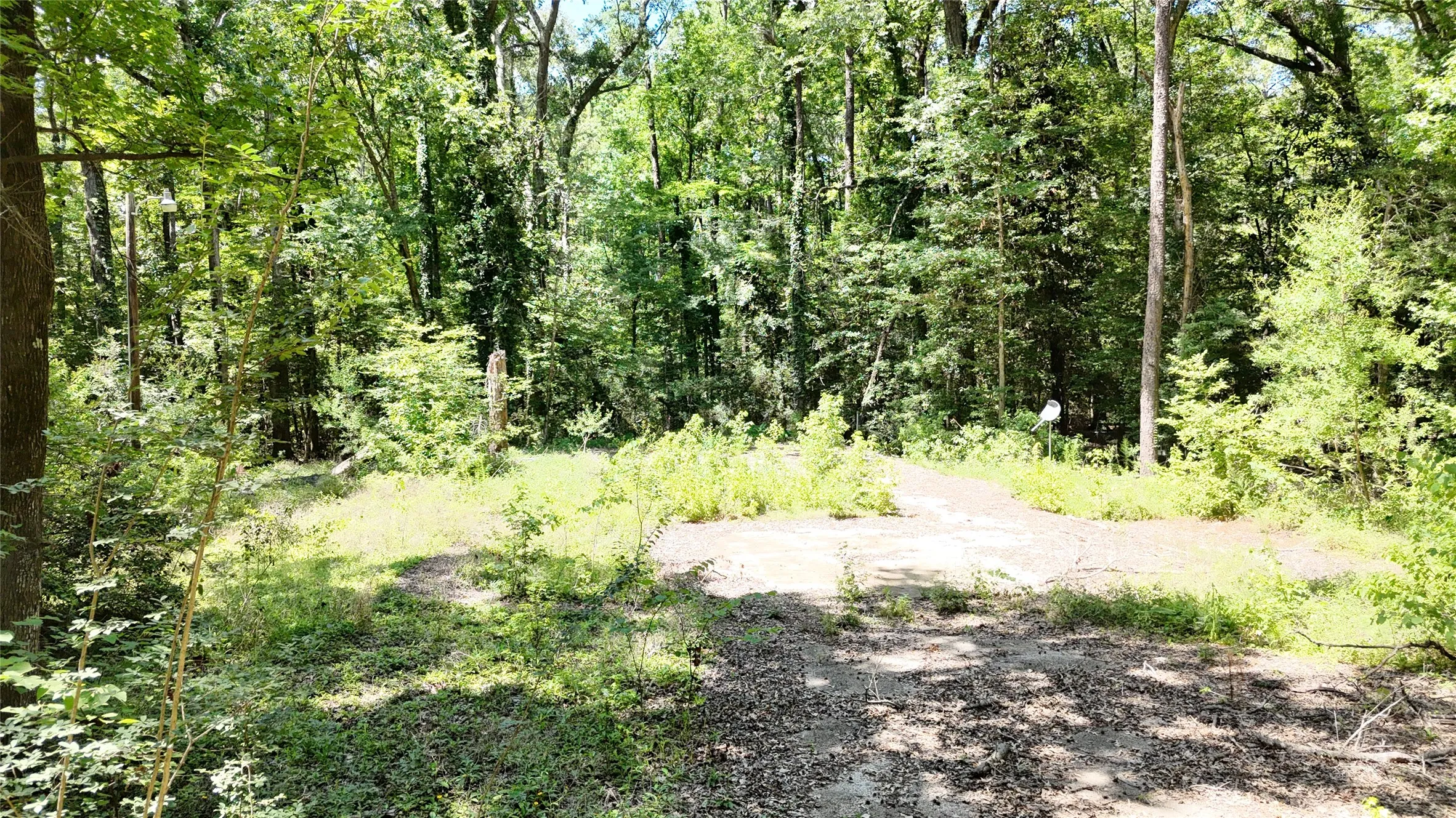 Improved Land For Sale in Sabine (TX) County , 460 Admiral Drive, Hemphill, Texas 75948, 0, 0, Garage spaces, 0 Sqft, built in 0, mls#21267505, Real Estate Agent in Hemphill, Homes For Sale in Sabine (TX) county, Homes For Sale in Hemphill, Realtor in Hemphill Texas, Real Estate Brokerage Independent Realty Texas, Luminita Cordes Realtor