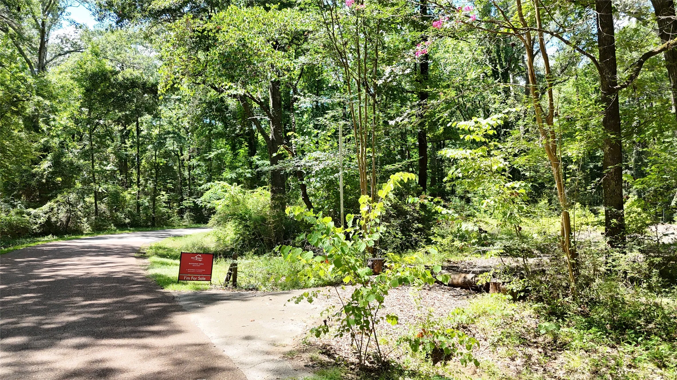 Improved Land For Sale in Sabine (TX) County , 460 Admiral Drive, Hemphill, Texas 75948, 0, 0, Garage spaces, 0 Sqft, built in 0, mls#21267505, Real Estate Agent in Hemphill, Homes For Sale in Sabine (TX) county, Homes For Sale in Hemphill, Realtor in Hemphill Texas, Real Estate Brokerage Independent Realty Texas, Luminita Cordes Realtor
