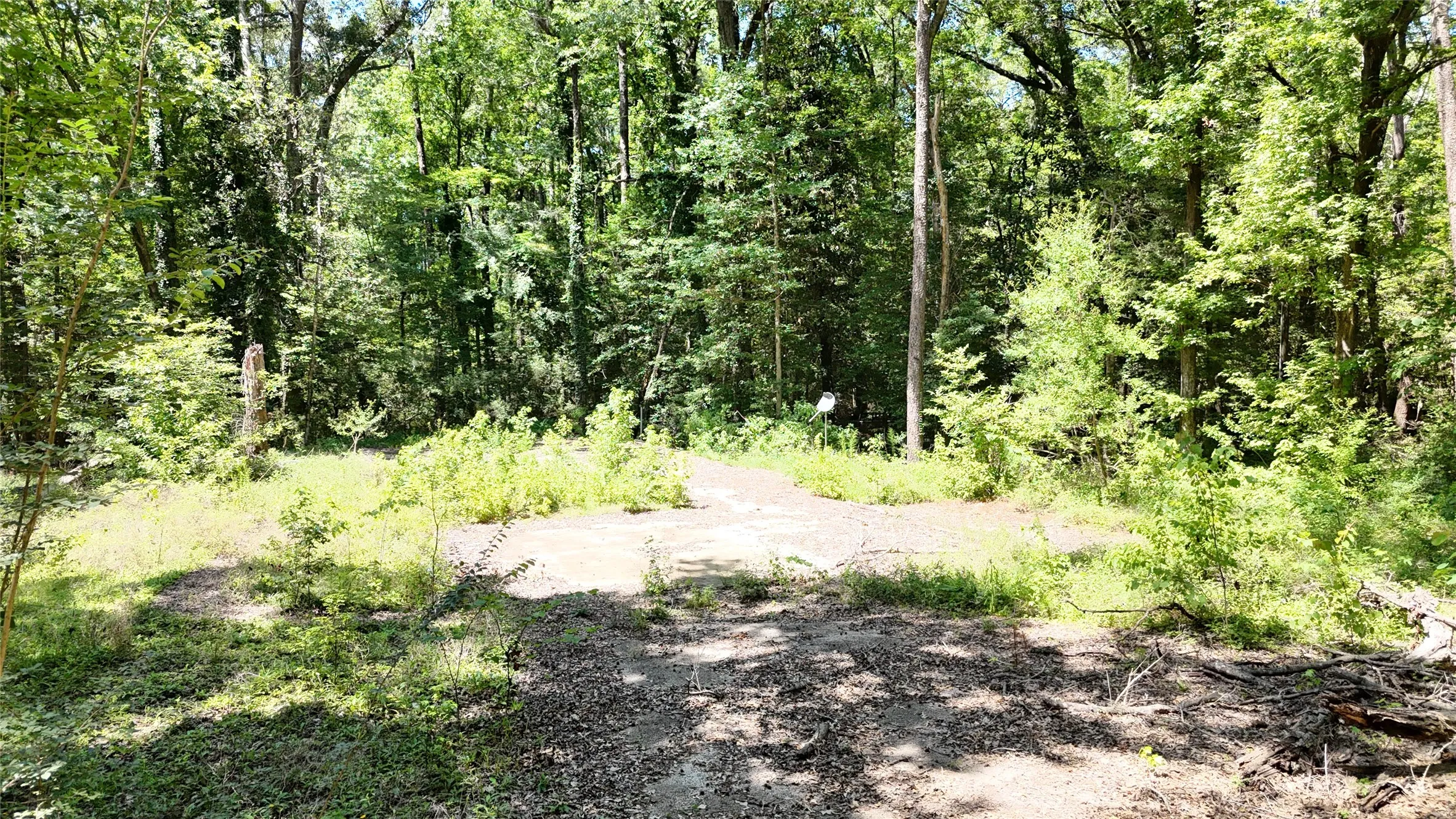 Improved Land For Sale in Sabine (TX) County , 460 Admiral Drive, Hemphill, Texas 75948, 0, 0, Garage spaces, 0 Sqft, built in 0, mls#21267505, Real Estate Agent in Hemphill, Homes For Sale in Sabine (TX) county, Homes For Sale in Hemphill, Realtor in Hemphill Texas, Real Estate Brokerage Independent Realty Texas, Luminita Cordes Realtor