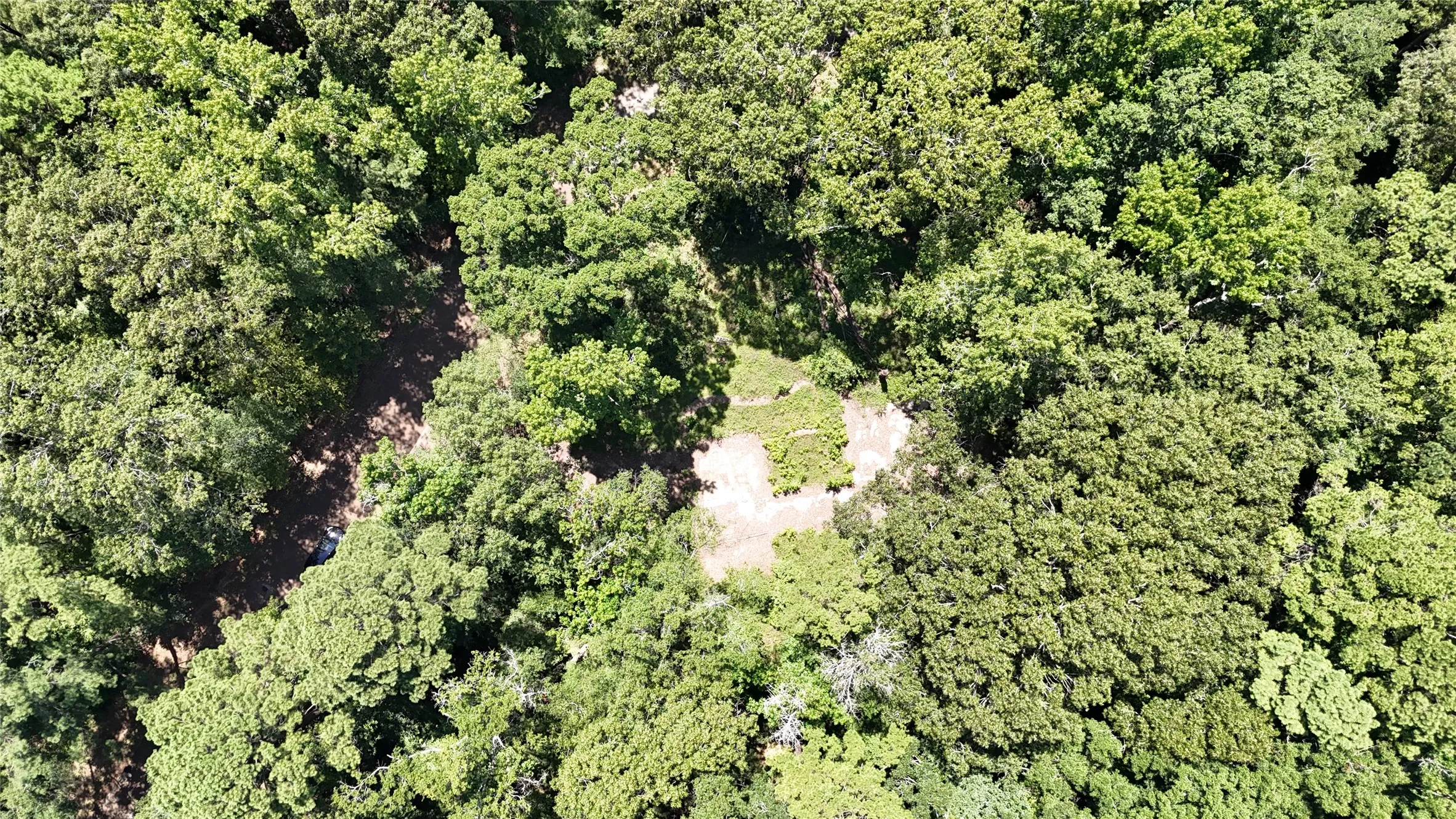 Improved Land For Sale in Sabine (TX) County , 460 Admiral Drive, Hemphill, Texas 75948, 0, 0, Garage spaces, 0 Sqft, built in 0, mls#21267505, Real Estate Agent in Hemphill, Homes For Sale in Sabine (TX) county, Homes For Sale in Hemphill, Realtor in Hemphill Texas, Real Estate Brokerage Independent Realty Texas, Luminita Cordes Realtor