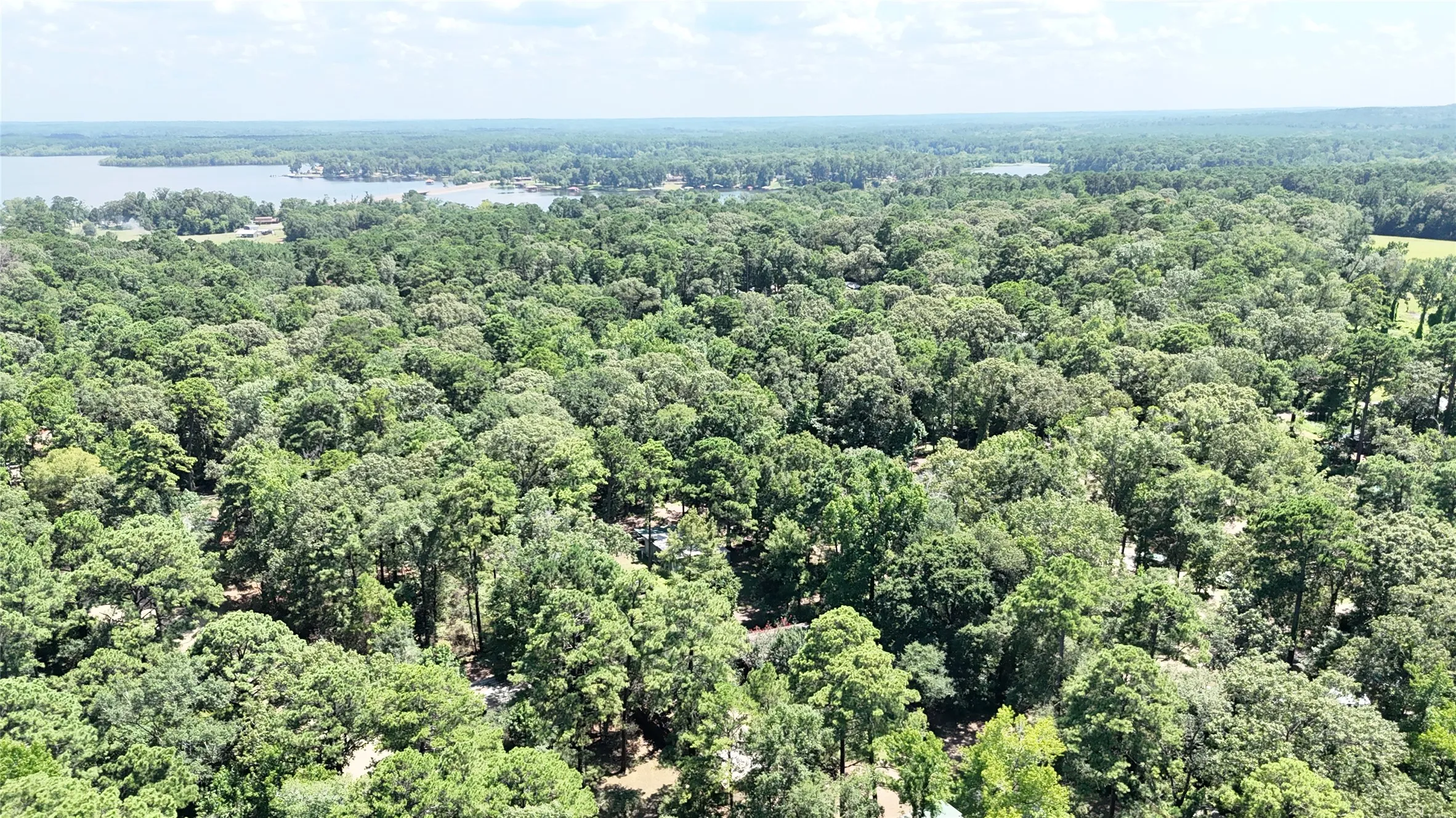 Improved Land For Sale in Sabine (TX) County , 460 Admiral Drive, Hemphill, Texas 75948, 0, 0, Garage spaces, 0 Sqft, built in 0, mls#21267505, Real Estate Agent in Hemphill, Homes For Sale in Sabine (TX) county, Homes For Sale in Hemphill, Realtor in Hemphill Texas, Real Estate Brokerage Independent Realty Texas, Luminita Cordes Realtor