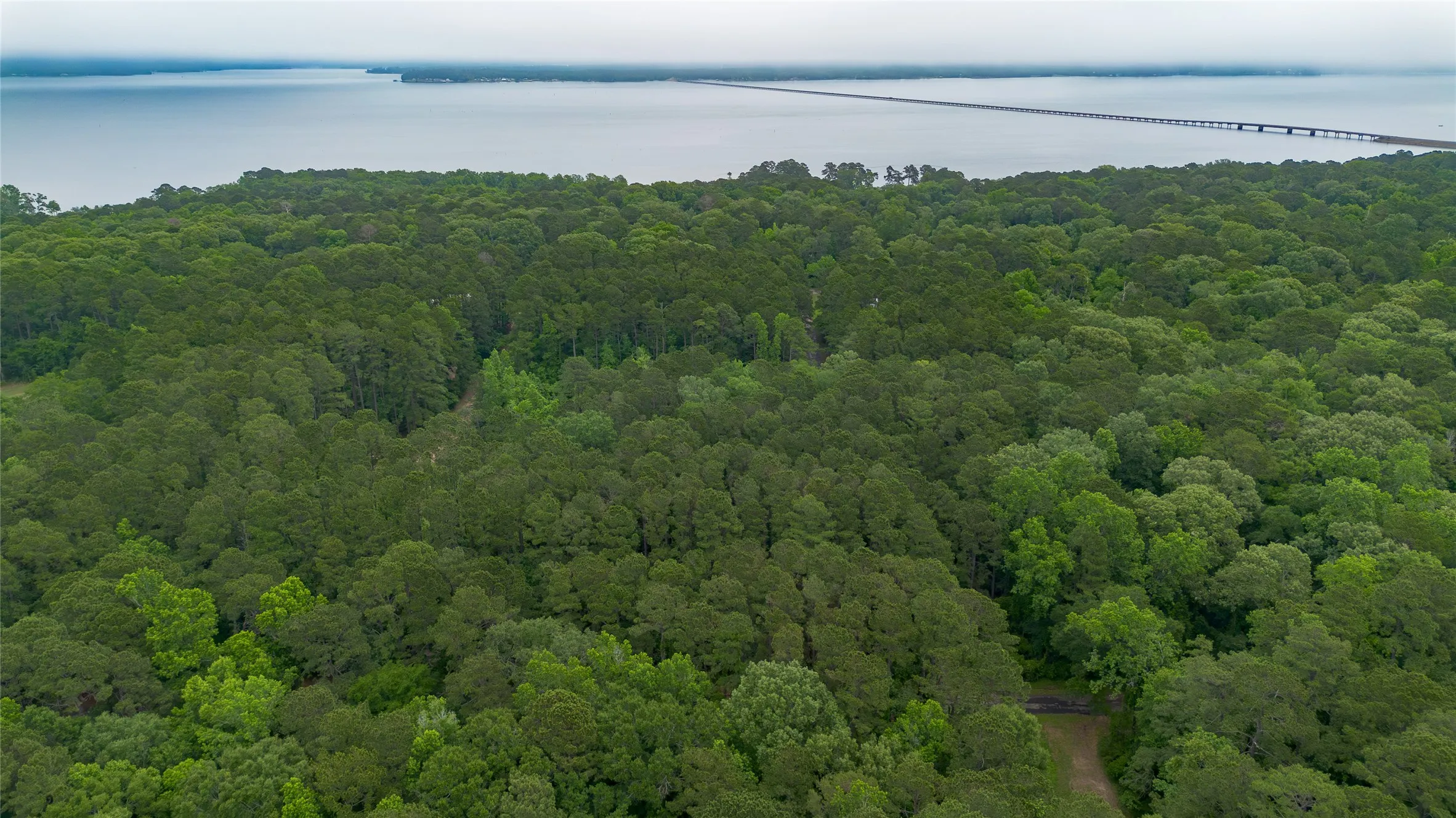 Improved Land For Sale in Sabine (TX) County , 460 Admiral Drive, Hemphill, Texas 75948, 0, 0, Garage spaces, 0 Sqft, built in 0, mls#21267505, Real Estate Agent in Hemphill, Homes For Sale in Sabine (TX) county, Homes For Sale in Hemphill, Realtor in Hemphill Texas, Real Estate Brokerage Independent Realty Texas, Luminita Cordes Realtor