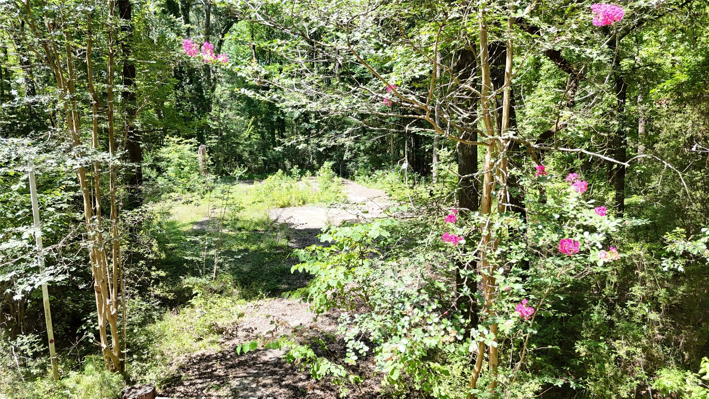 Improved Land For Sale in Sabine (TX) County , 460 Admiral Drive, Hemphill, Texas 75948, 0, 0, Garage spaces, 0 Sqft, built in 0, mls#21267505, Real Estate Agent in Hemphill, Homes For Sale in Sabine (TX) county, Homes For Sale in Hemphill, Realtor in Hemphill Texas, Real Estate Brokerage Independent Realty Texas, Luminita Cordes Realtor