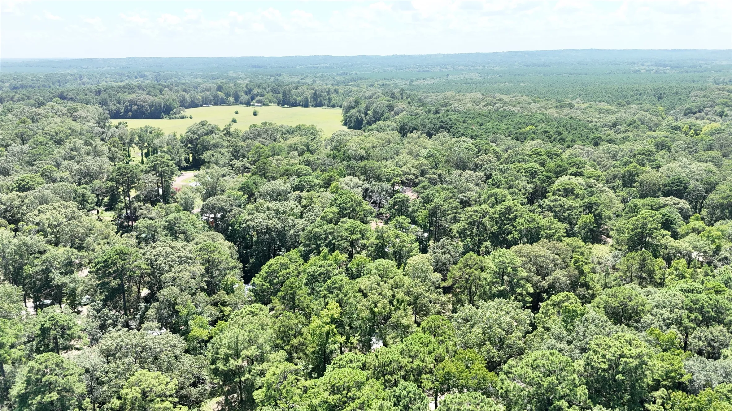 Improved Land For Sale in Sabine (TX) County , 460 Admiral Drive, Hemphill, Texas 75948, 0, 0, Garage spaces, 0 Sqft, built in 0, mls#21267505, Real Estate Agent in Hemphill, Homes For Sale in Sabine (TX) county, Homes For Sale in Hemphill, Realtor in Hemphill Texas, Real Estate Brokerage Independent Realty Texas, Luminita Cordes Realtor