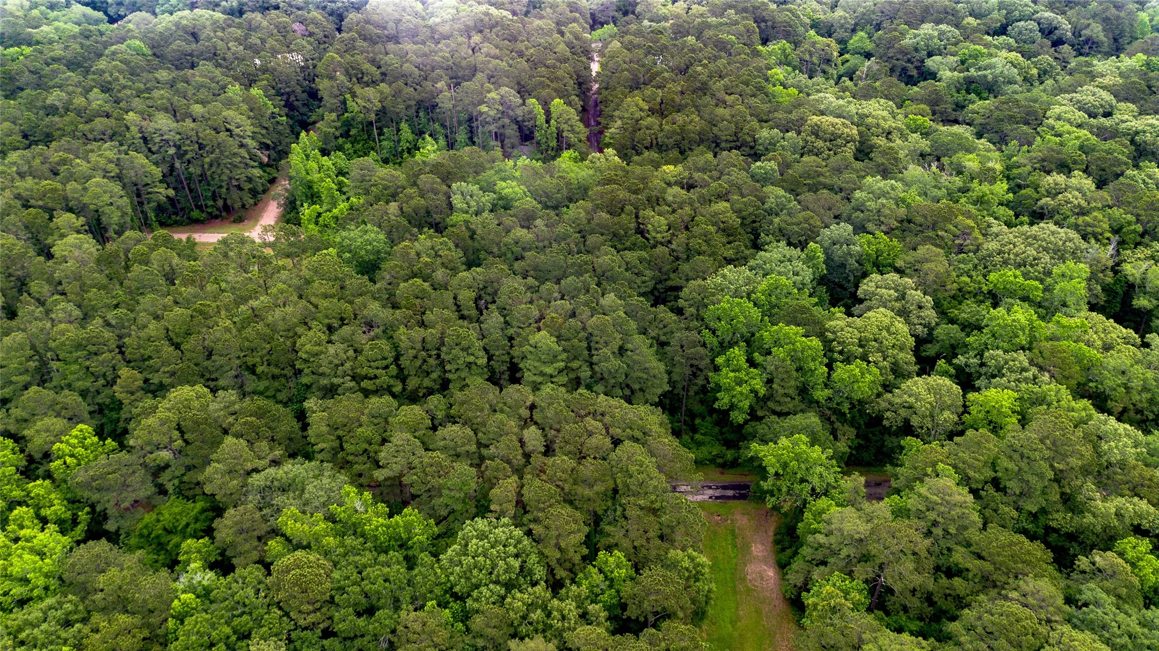 Improved Land For Sale in Sabine (TX) County , 460 Admiral Drive, Hemphill, Texas 75948, 0, 0, Garage spaces, 0 Sqft, built in 0, mls#21267505, Real Estate Agent in Hemphill, Homes For Sale in Sabine (TX) county, Homes For Sale in Hemphill, Realtor in Hemphill Texas, Real Estate Brokerage Independent Realty Texas, Luminita Cordes Realtor