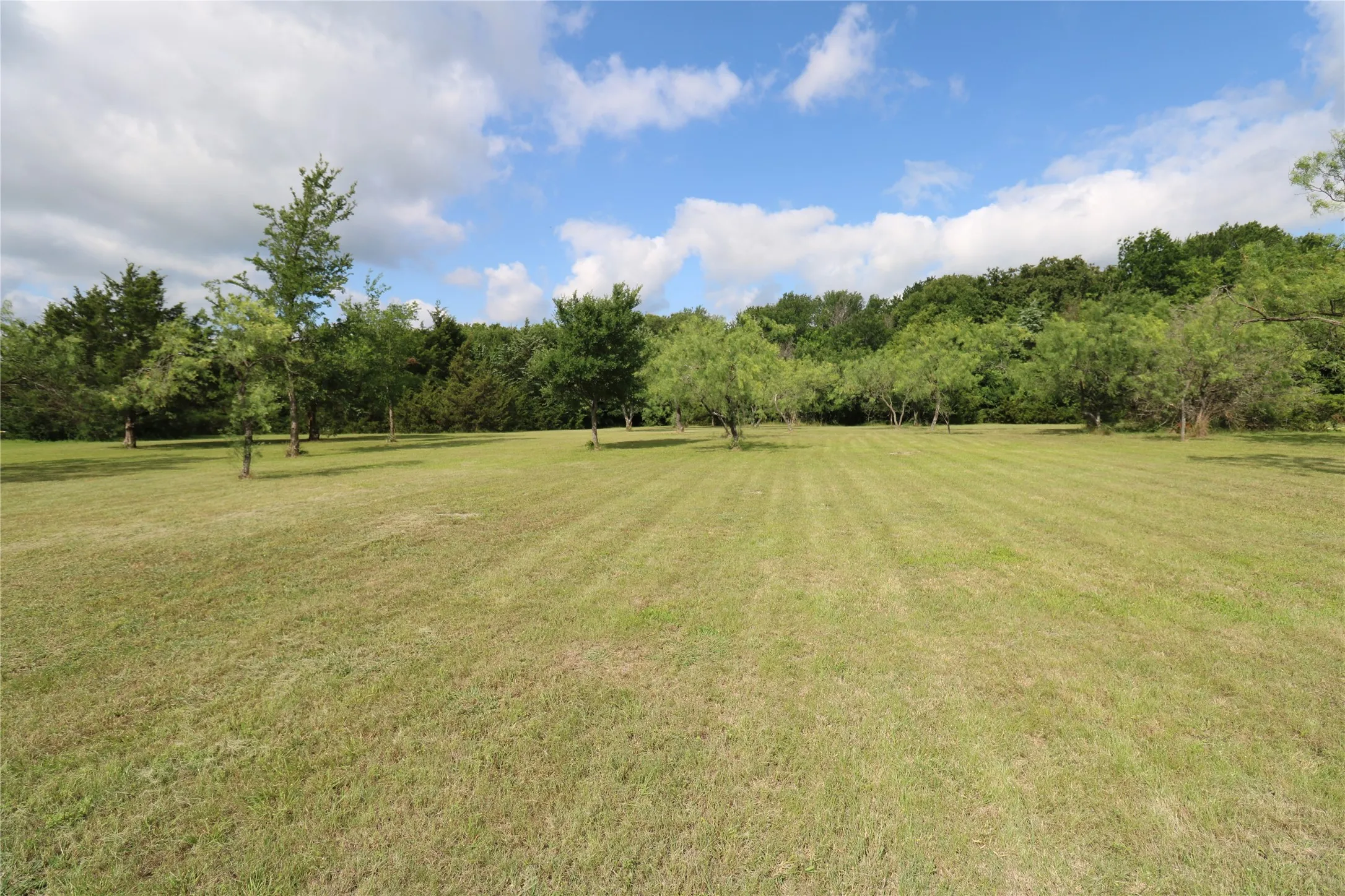 Improved Land For Sale in Rockwall County , 1090 Eagle Pass, Royse City, Texas 75189, 0, 0, Garage spaces, 0 Sqft, built in 0, Price $299,000, mls#21265553, Real Estate Agent in Royse City, Homes For Sale in Rockwall county, Homes For Sale in Royse City, Realtor in Royse City Texas, Real Estate Brokerage Independent Realty Texas, Luminita Cordes Realtor