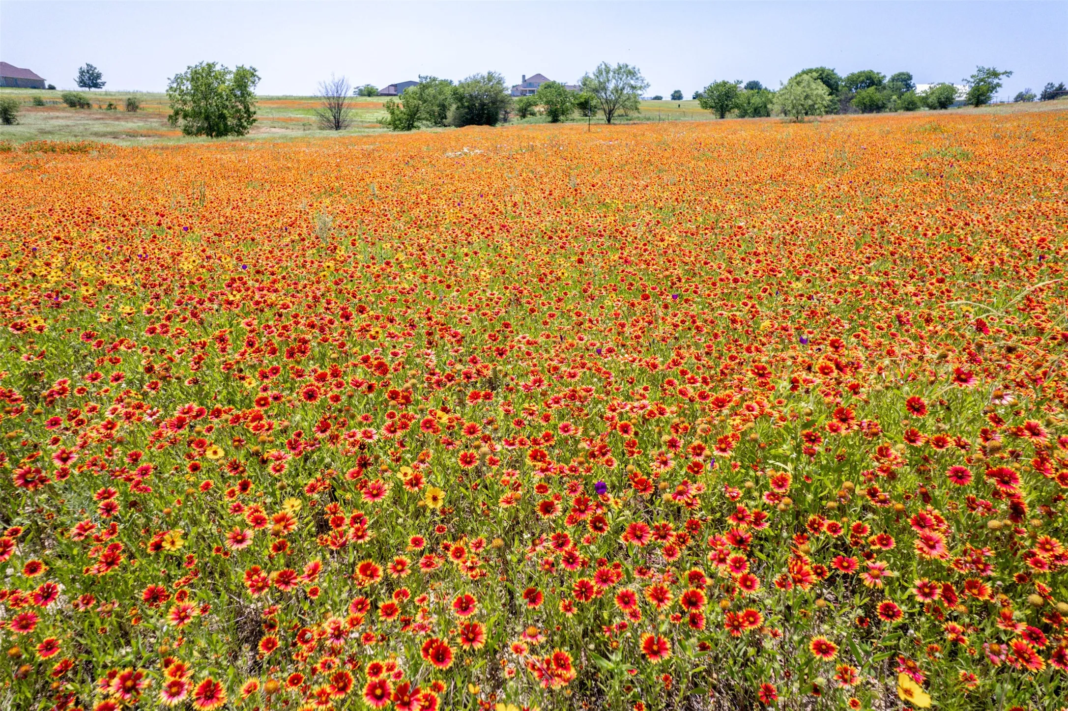 Unimproved Land For Sale in Parker County , 204 Torreon Lane, Fort Worth, Texas 76108, 0, 0, Garage spaces, 0 Sqft, built in 0, mls#21267548, Real Estate Agent in Fort Worth, Homes For Sale in Parker county, Homes For Sale in Fort Worth, Realtor in Fort Worth Texas, Real Estate Brokerage Independent Realty Texas, Luminita Cordes Realtor