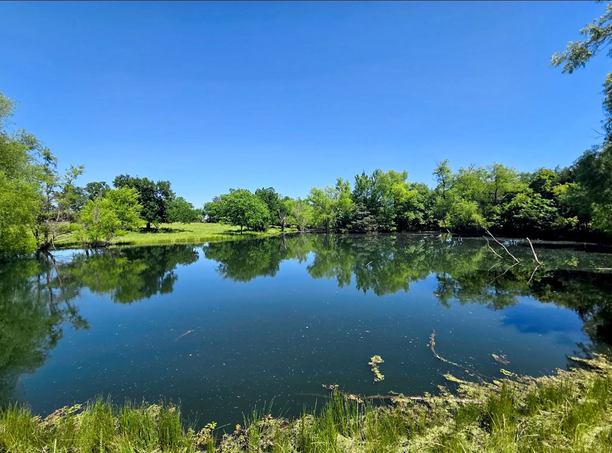 Single Family Residence For Sale in Collin County , 7899 County Road 623, Farmersville, Texas 75442, 7 Bedroom, 6 Bathroom, 3 Garage spaces, 3,546 Sqft, built in 2023, mls#21264054, Real Estate Agent in Farmersville, Homes For Sale in Collin county, Homes For Sale in Farmersville, Realtor in Farmersville Texas, Real Estate Brokerage Independent Realty Texas, Luminita Cordes Realtor
