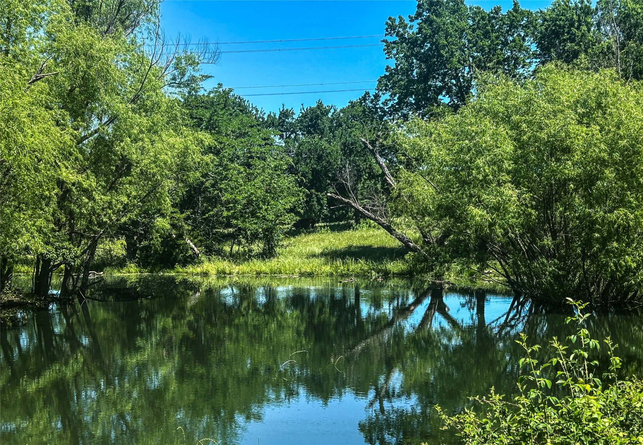 .75 ACRE STOCKED POND