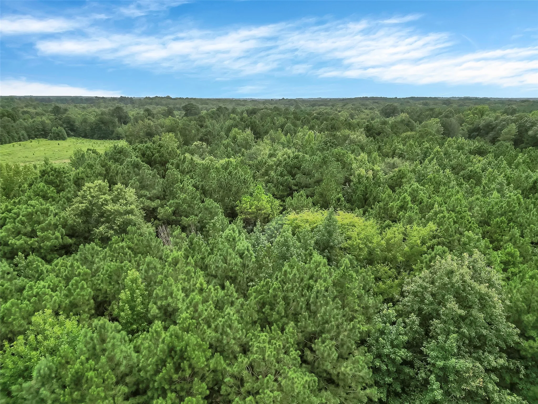 Single Family Residence For Sale in Harrison County , 368 Sneed Rd, Waskom, Texas 75692, 2 Bedrooms, 0, Garage spaces, 1,600 Sqft, built in 2005, Price $149,000, mls#21267640, Real Estate Agent in Waskom, Homes For Sale in Harrison county, Homes For Sale in Waskom, Realtor in Waskom Texas, Real Estate Brokerage Independent Realty Texas, Luminita Cordes Realtor