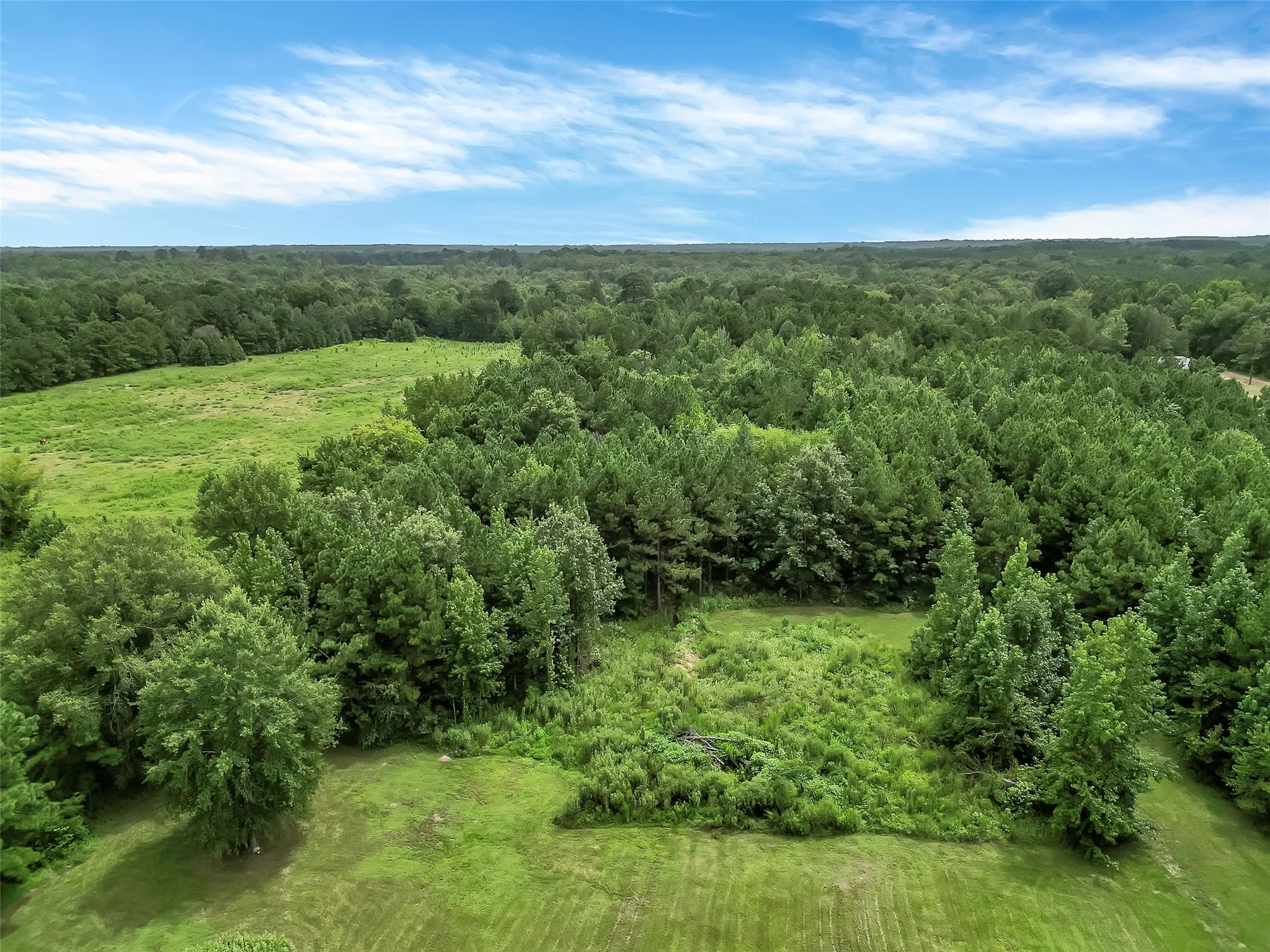 Single Family Residence For Sale in Harrison County , 368 Sneed Rd, Waskom, Texas 75692, 2 Bedrooms, 0, Garage spaces, 1,600 Sqft, built in 2005, Price $149,000, mls#21267640, Real Estate Agent in Waskom, Homes For Sale in Harrison county, Homes For Sale in Waskom, Realtor in Waskom Texas, Real Estate Brokerage Independent Realty Texas, Luminita Cordes Realtor