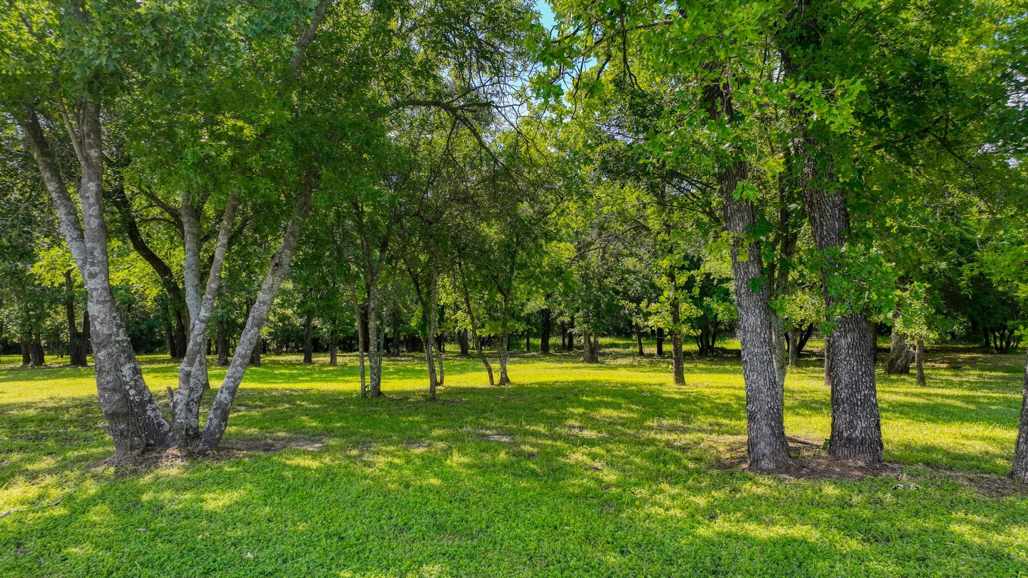 Unimproved Land For Sale in Parker County , 315 Arborview Drive, Weatherford, Texas 76088, 0, 0, Garage spaces, 0 Sqft, built in 0, mls#21261135, Real Estate Agent in Weatherford, Homes For Sale in Parker county, Homes For Sale in Weatherford, Realtor in Weatherford Texas, Real Estate Brokerage Independent Realty Texas, Luminita Cordes Realtor