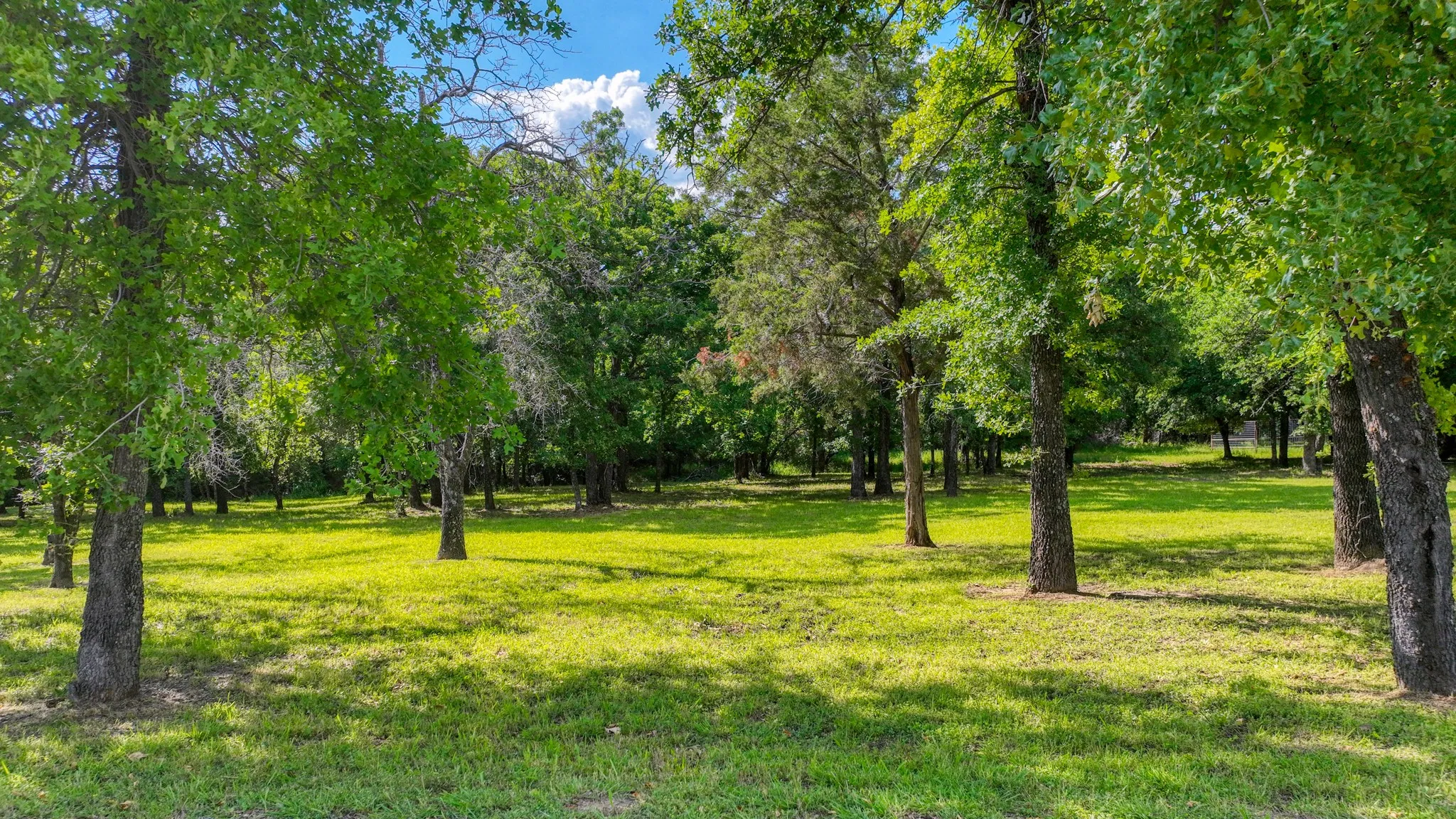 Unimproved Land For Sale in Parker County , 315 Arborview Drive, Weatherford, Texas 76088, 0, 0, Garage spaces, 0 Sqft, built in 0, mls#21261135, Real Estate Agent in Weatherford, Homes For Sale in Parker county, Homes For Sale in Weatherford, Realtor in Weatherford Texas, Real Estate Brokerage Independent Realty Texas, Luminita Cordes Realtor