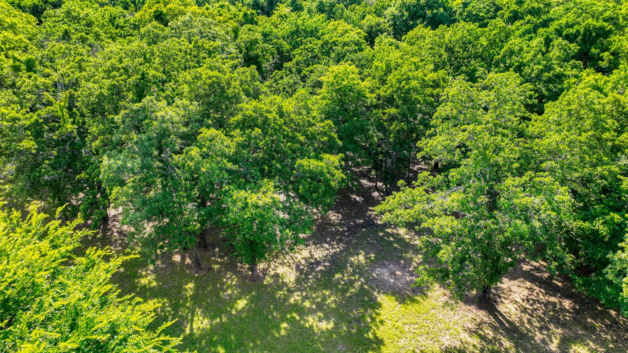 Unimproved Land For Sale in Parker County , 315 Arborview Drive, Weatherford, Texas 76088, 0, 0, Garage spaces, 0 Sqft, built in 0, mls#21261135, Real Estate Agent in Weatherford, Homes For Sale in Parker county, Homes For Sale in Weatherford, Realtor in Weatherford Texas, Real Estate Brokerage Independent Realty Texas, Luminita Cordes Realtor