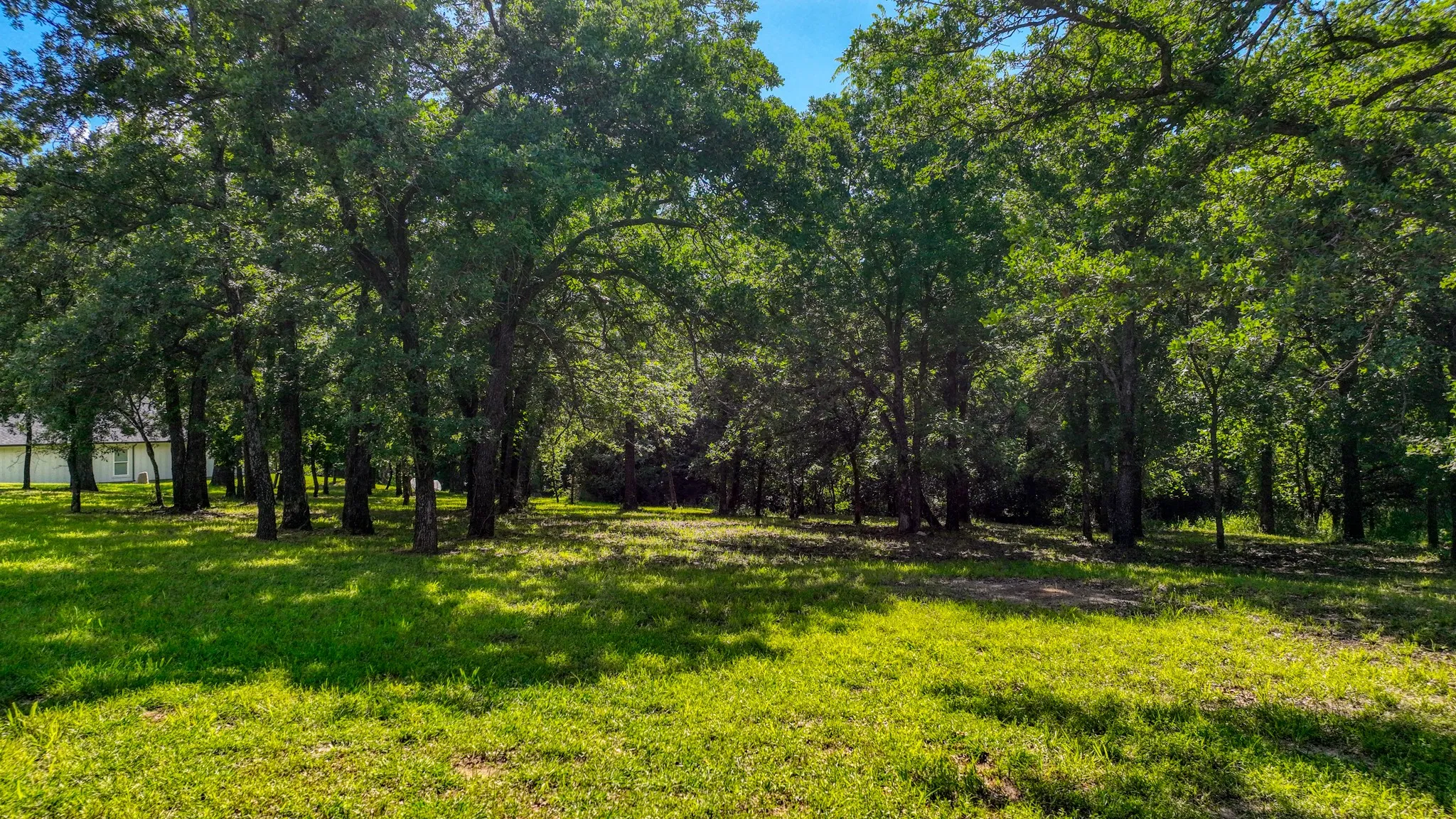 Unimproved Land For Sale in Parker County , 315 Arborview Drive, Weatherford, Texas 76088, 0, 0, Garage spaces, 0 Sqft, built in 0, mls#21261135, Real Estate Agent in Weatherford, Homes For Sale in Parker county, Homes For Sale in Weatherford, Realtor in Weatherford Texas, Real Estate Brokerage Independent Realty Texas, Luminita Cordes Realtor