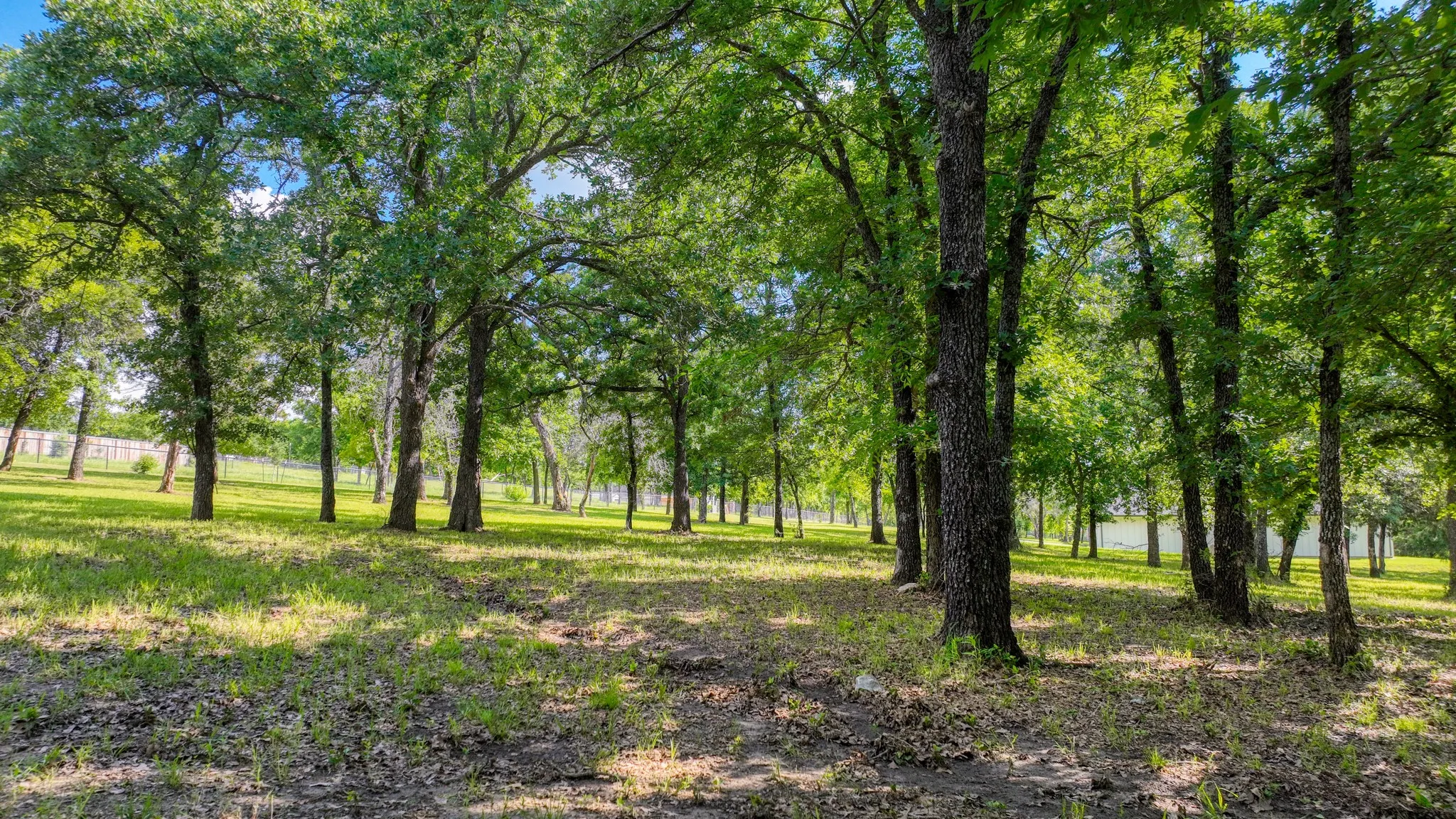 Unimproved Land For Sale in Parker County , 315 Arborview Drive, Weatherford, Texas 76088, 0, 0, Garage spaces, 0 Sqft, built in 0, mls#21261135, Real Estate Agent in Weatherford, Homes For Sale in Parker county, Homes For Sale in Weatherford, Realtor in Weatherford Texas, Real Estate Brokerage Independent Realty Texas, Luminita Cordes Realtor