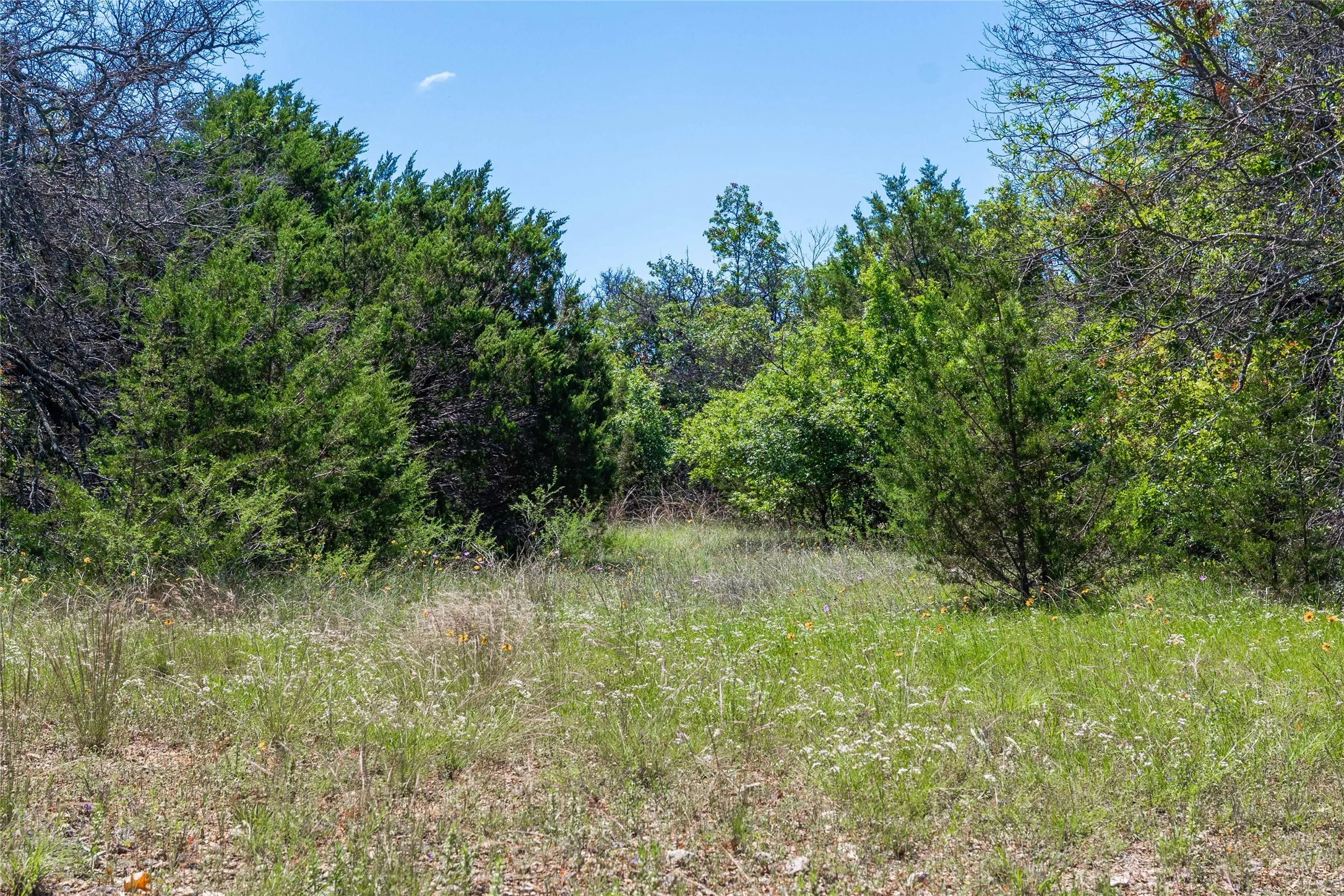 Single Family Residence For Sale in Brown County , 346 Whispering Oaks Lane, Early, Texas 76802, 4 Bedroom, 2 Bathroom, Garage spaces, 1,432 Sqft, built in 1987, mls#21267696, Real Estate Agent in Early, Homes For Sale in Brown county, Homes For Sale in Early, Realtor in Early Texas, Real Estate Brokerage Independent Realty Texas, Luminita Cordes Realtor