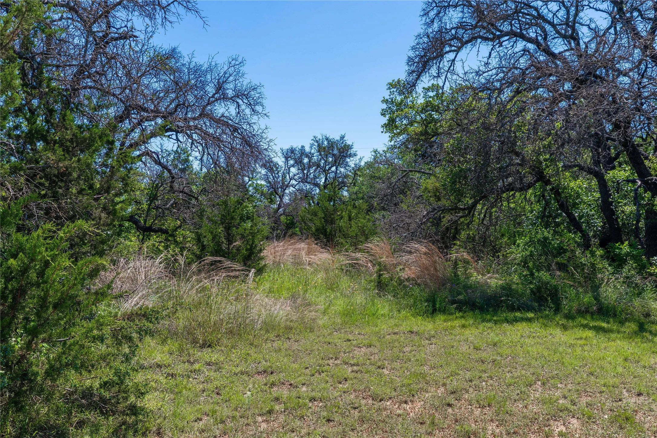 Single Family Residence For Sale in Brown County , 346 Whispering Oaks Lane, Early, Texas 76802, 4 Bedroom, 2 Bathroom, Garage spaces, 1,432 Sqft, built in 1987, mls#21267696, Real Estate Agent in Early, Homes For Sale in Brown county, Homes For Sale in Early, Realtor in Early Texas, Real Estate Brokerage Independent Realty Texas, Luminita Cordes Realtor