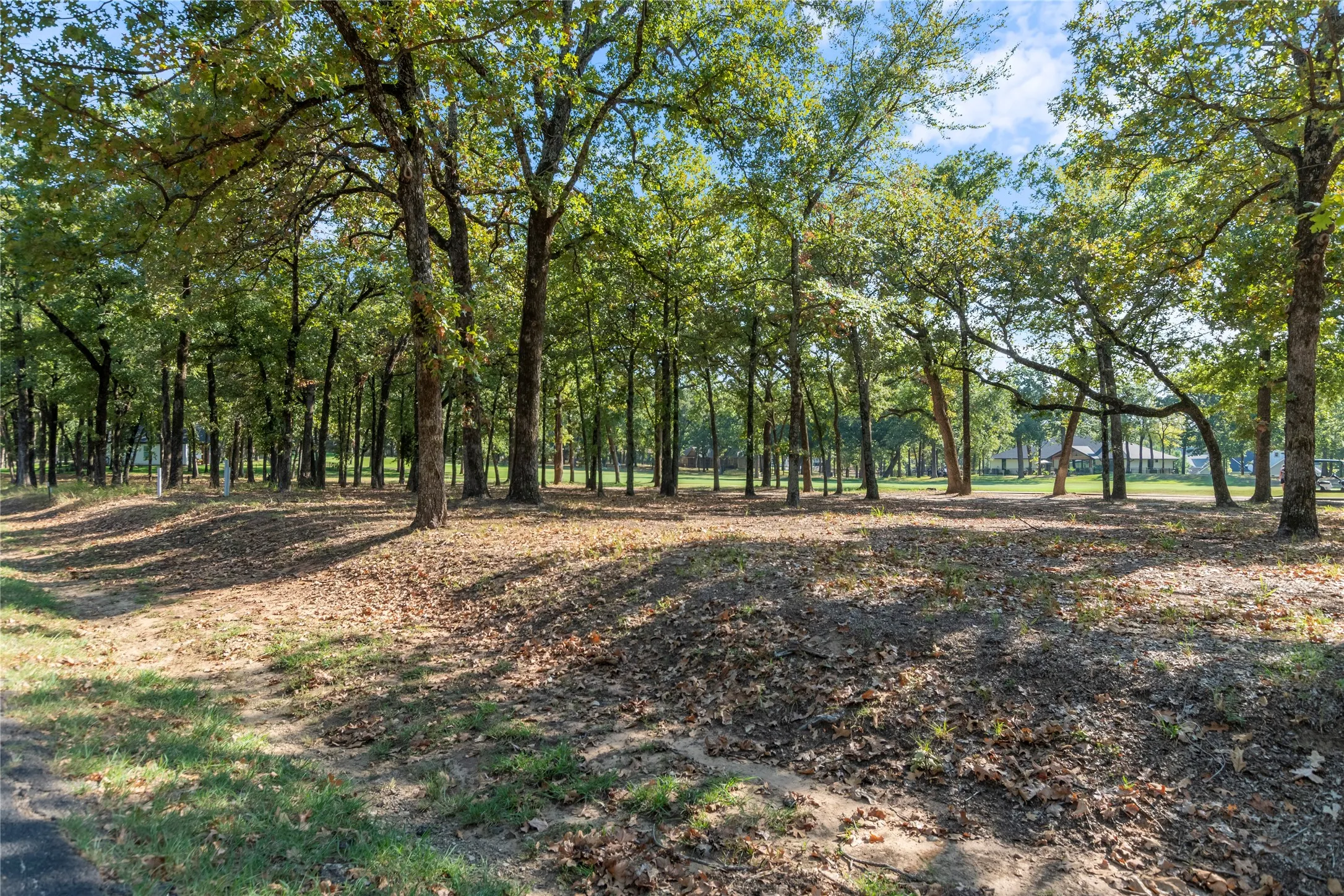 Unimproved Land For Sale in Henderson County , 223 Colonial Drive, Mabank, Texas 75156, 0, 0, Garage spaces, 0 Sqft, built in 0, Price $58,000, mls#21267714, Real Estate Agent in Mabank, Homes For Sale in Henderson county, Homes For Sale in Mabank, Realtor in Mabank Texas, Real Estate Brokerage Independent Realty Texas, Luminita Cordes Realtor