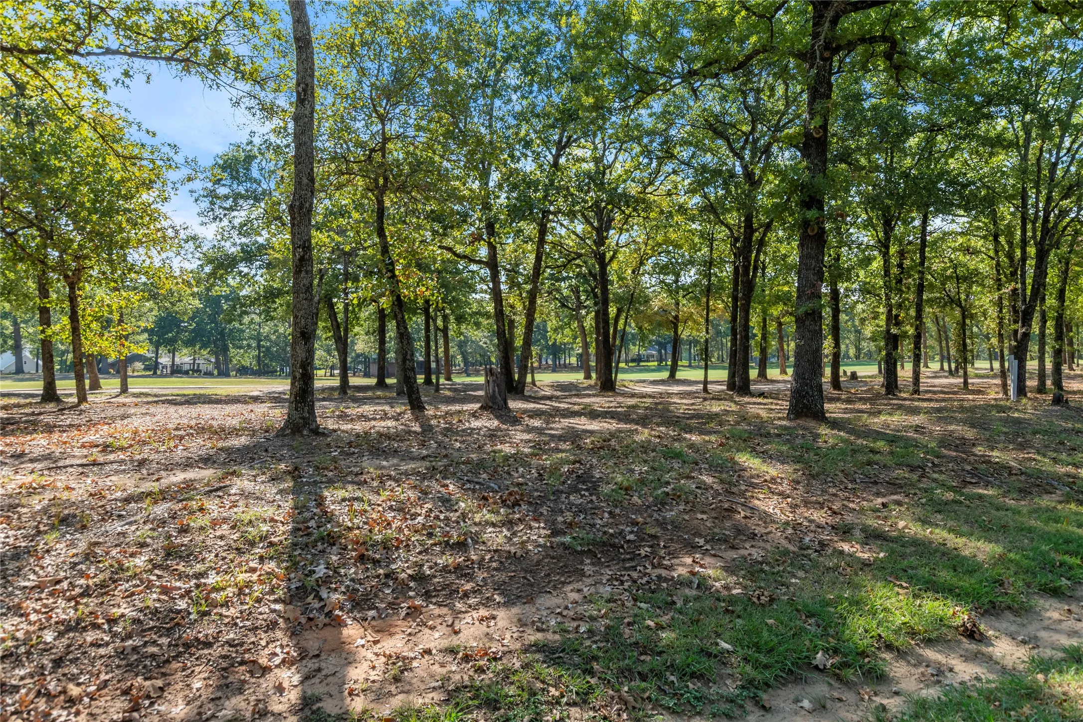 Unimproved Land For Sale in Henderson County , 221 Colonial Drive, Mabank, Texas 75156, 0, 0, Garage spaces, 0 Sqft, built in 0, Price $58,000, mls#21267679, Real Estate Agent in Mabank, Homes For Sale in Henderson county, Homes For Sale in Mabank, Realtor in Mabank Texas, Real Estate Brokerage Independent Realty Texas, Luminita Cordes Realtor