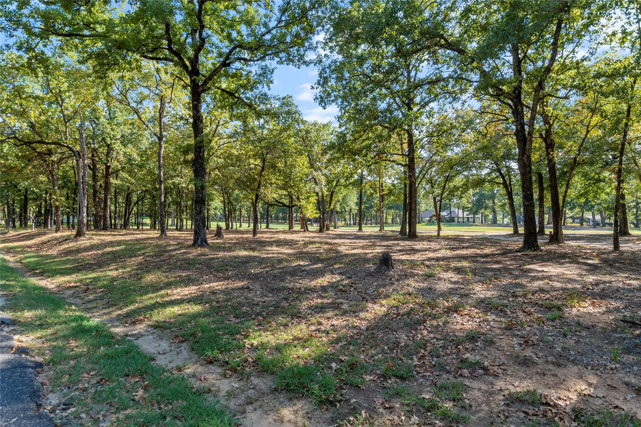 Unimproved Land For Sale in Henderson County , 221 Colonial Drive, Mabank, Texas 75156, 0, 0, Garage spaces, 0 Sqft, built in 0, Price $58,000, mls#21267679, Real Estate Agent in Mabank, Homes For Sale in Henderson county, Homes For Sale in Mabank, Realtor in Mabank Texas, Real Estate Brokerage Independent Realty Texas, Luminita Cordes Realtor